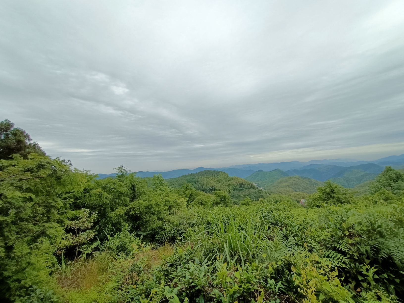 余姚市东岗山森林公园旅行图片 2