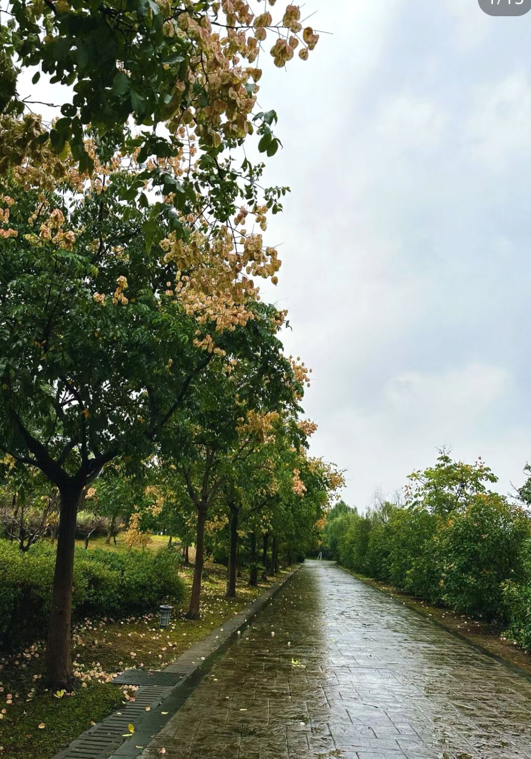 余姚市东岗山森林公园旅行图片