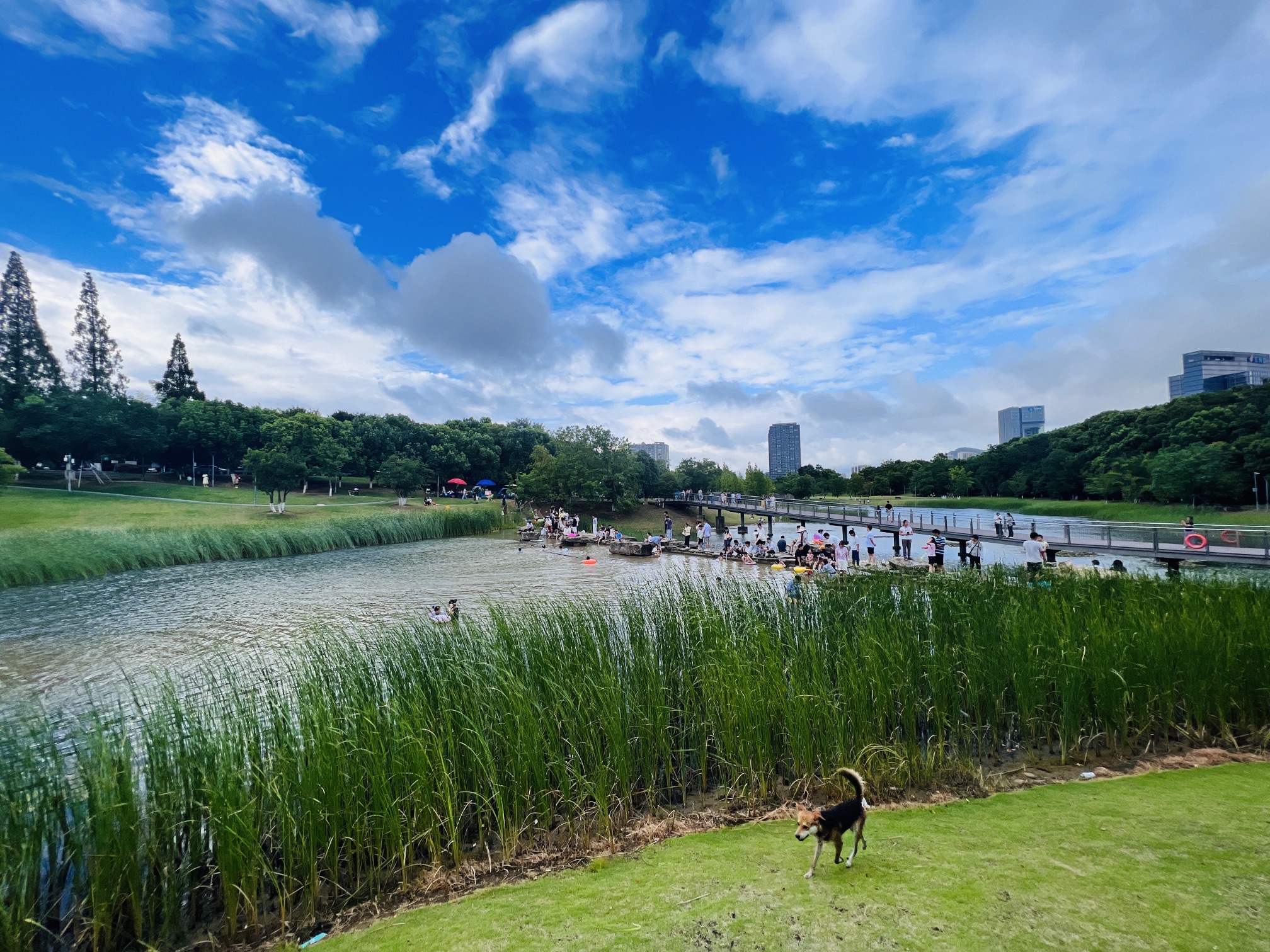 彩石湖公园