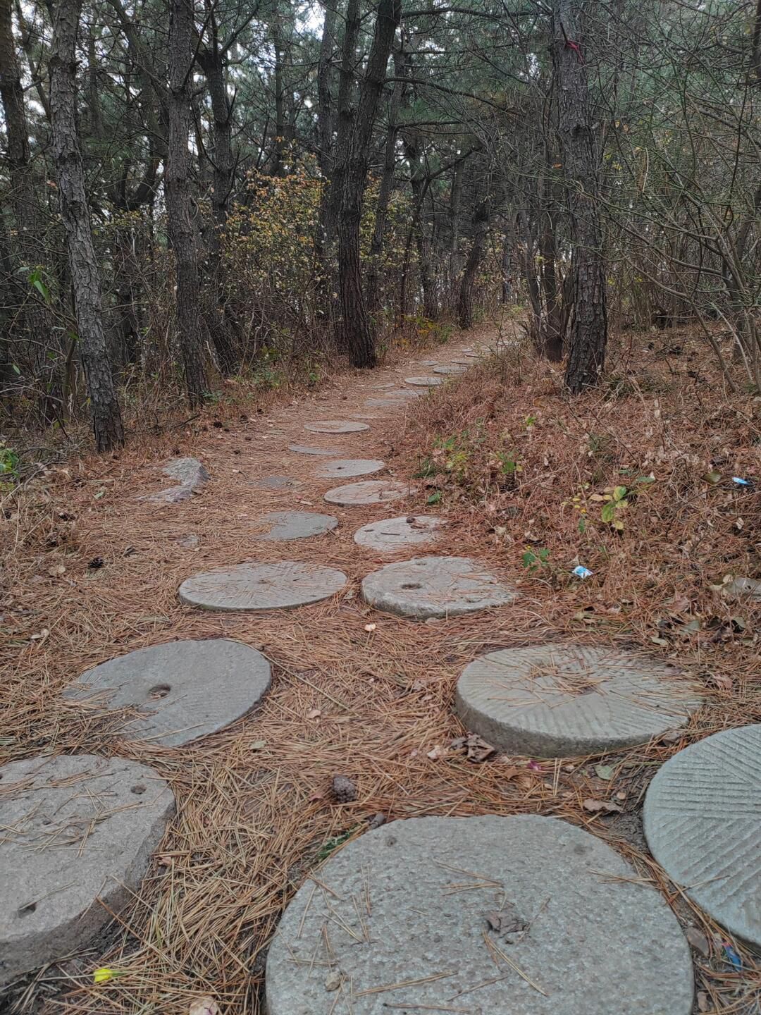磨盘山公园旅行图片 1