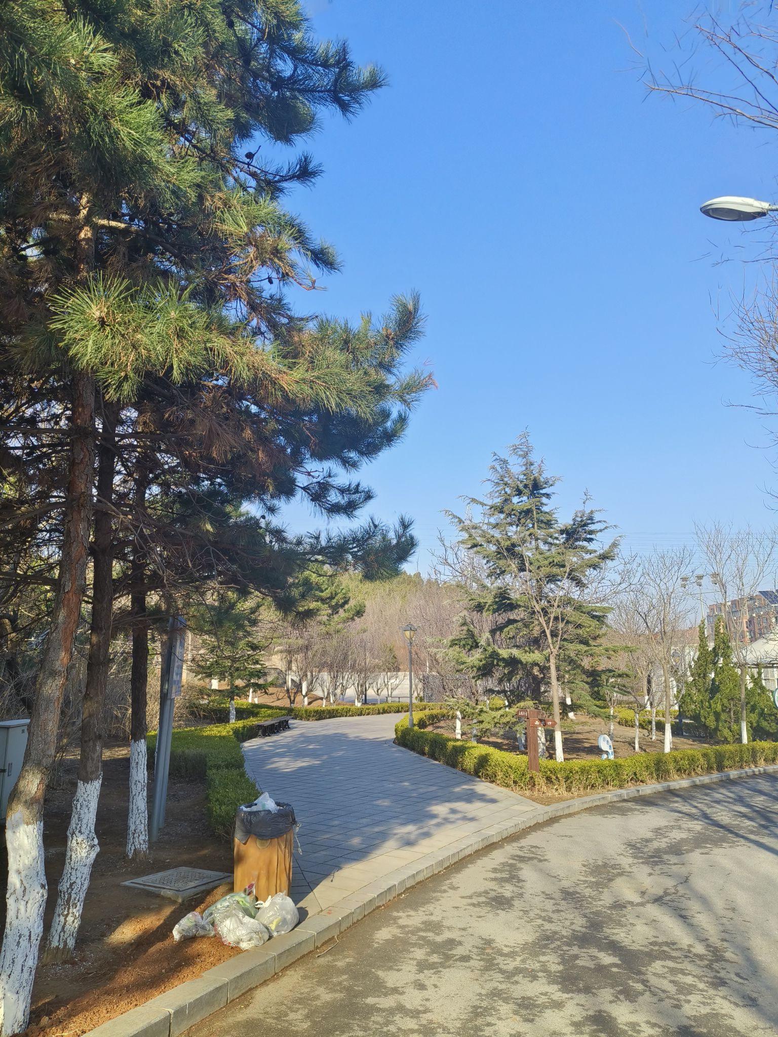 椒金山山体公园旅行图片 2