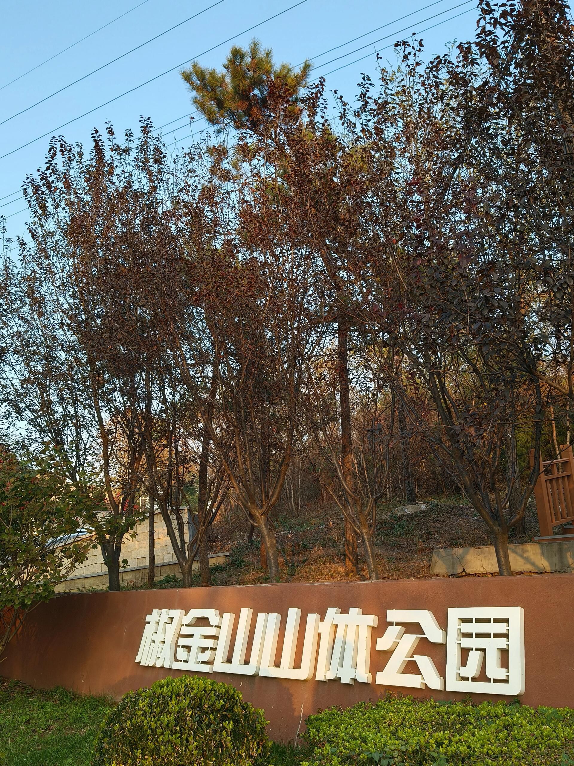 椒金山山体公园旅行图片 1