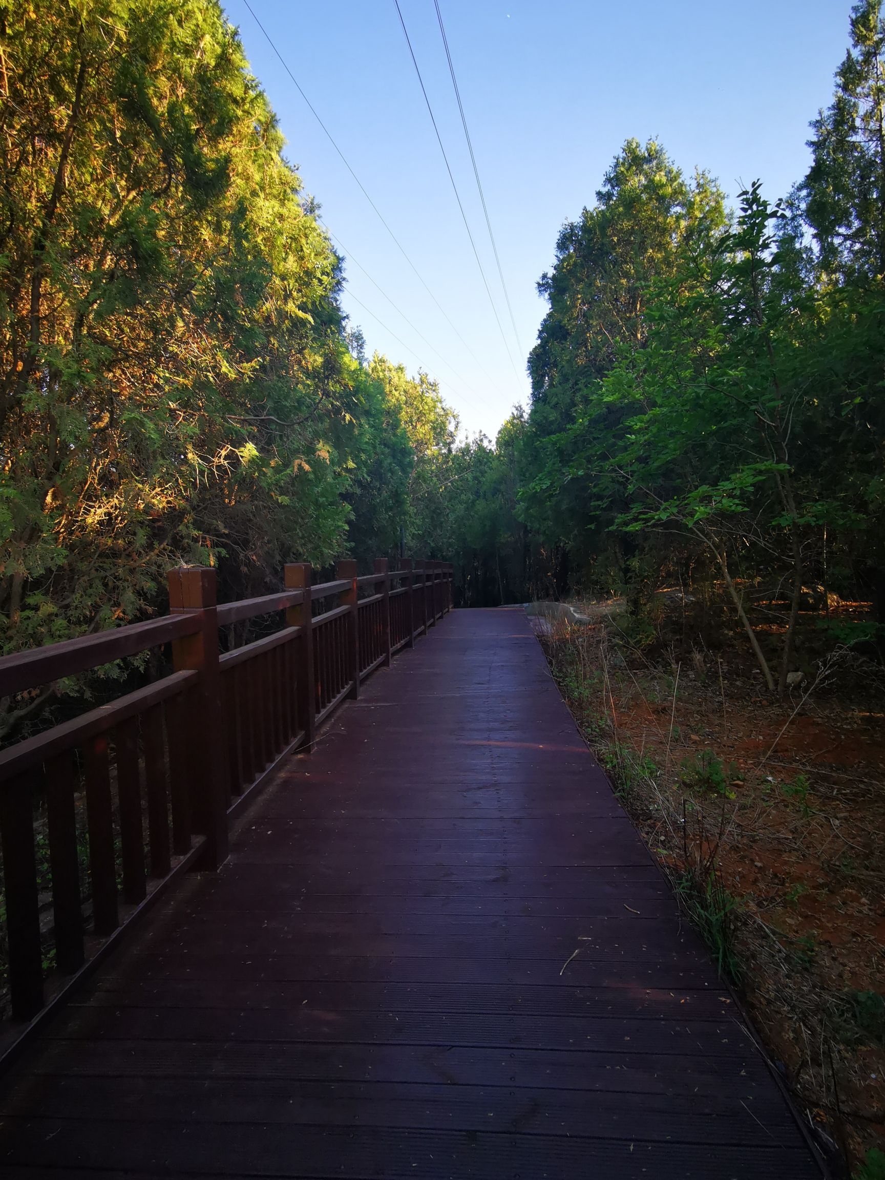 椒金山山体公园旅行图片 2