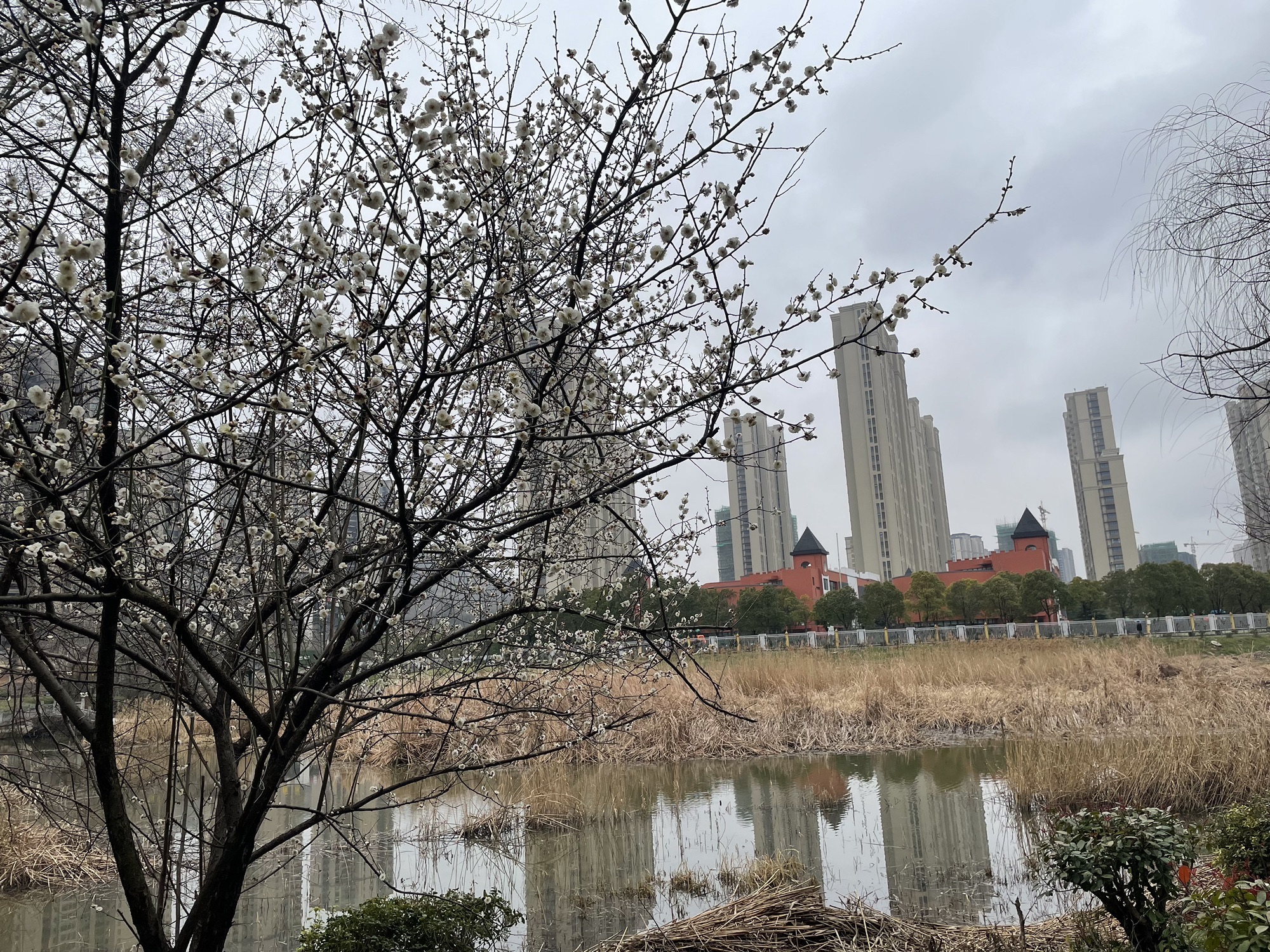 滨河公园旅行图片 1