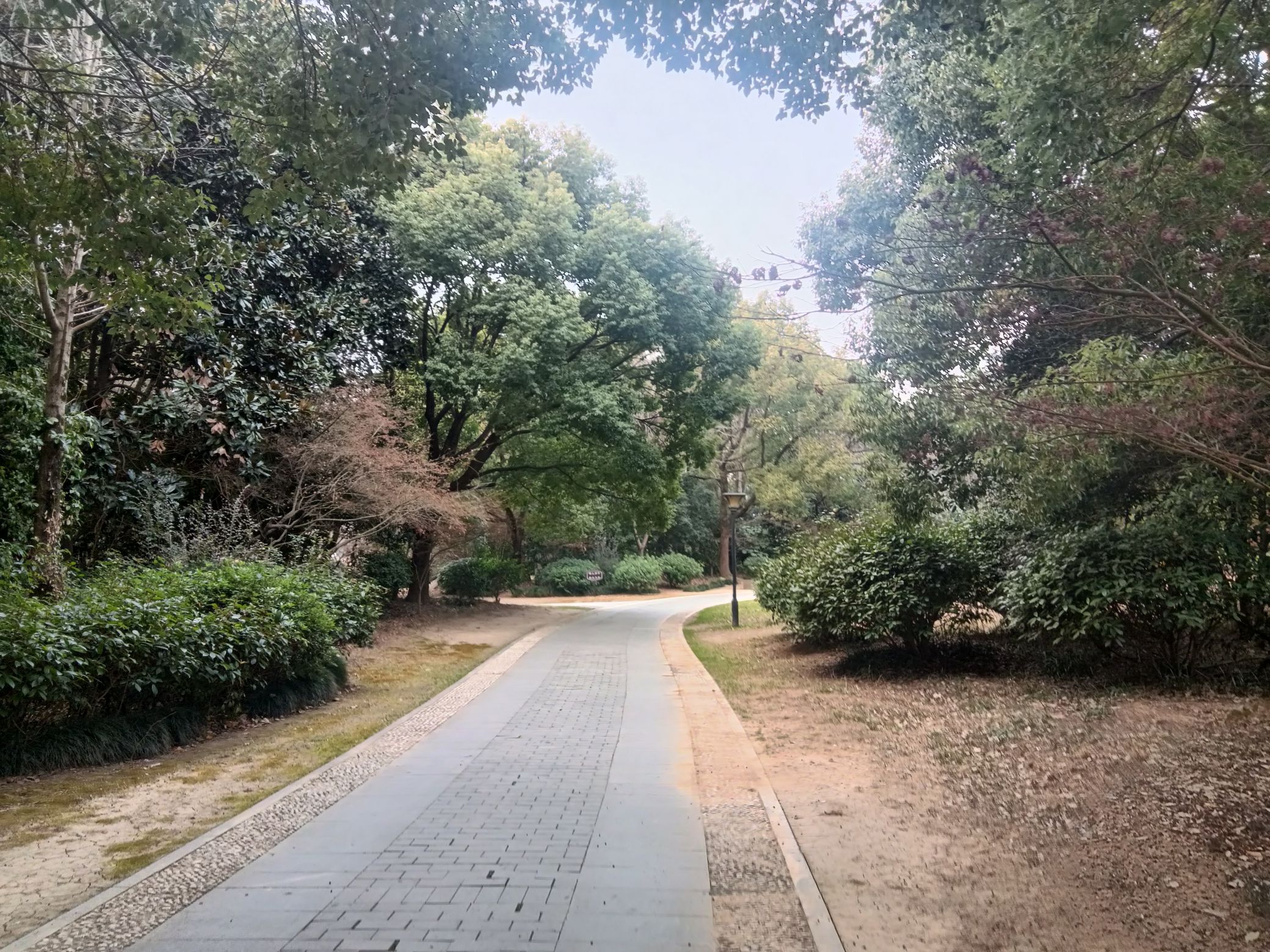 滨河公园旅行图片 1