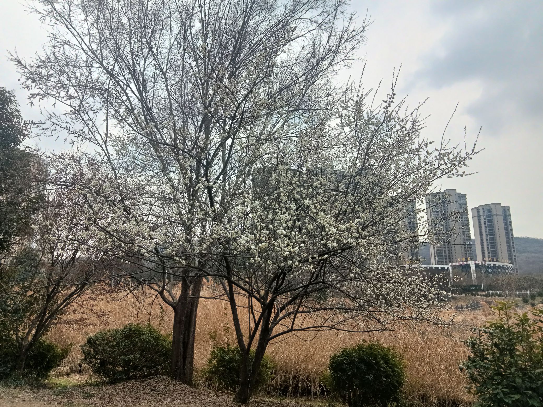 滨河公园旅行图片 3