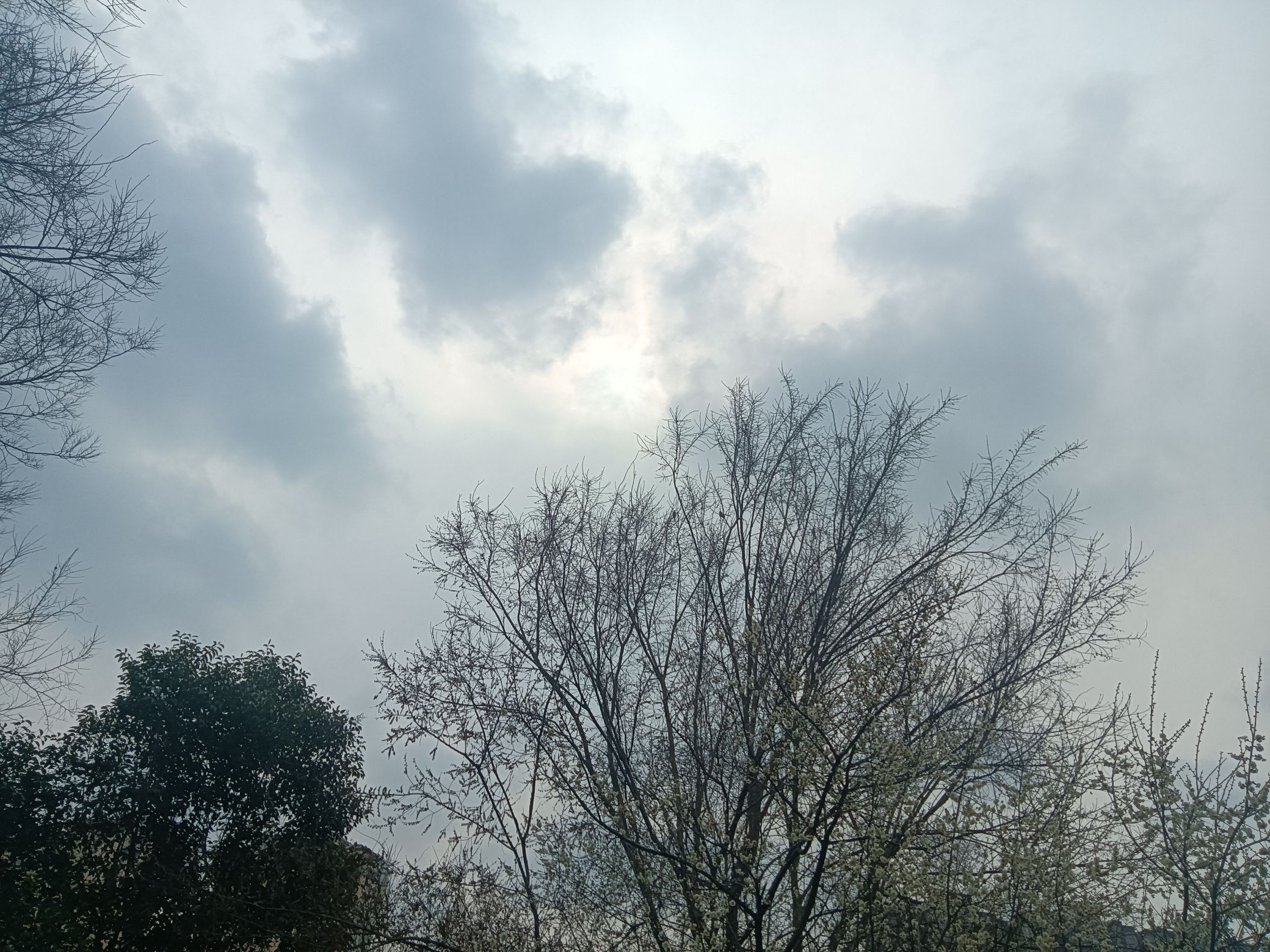 滨河公园旅行图片 2