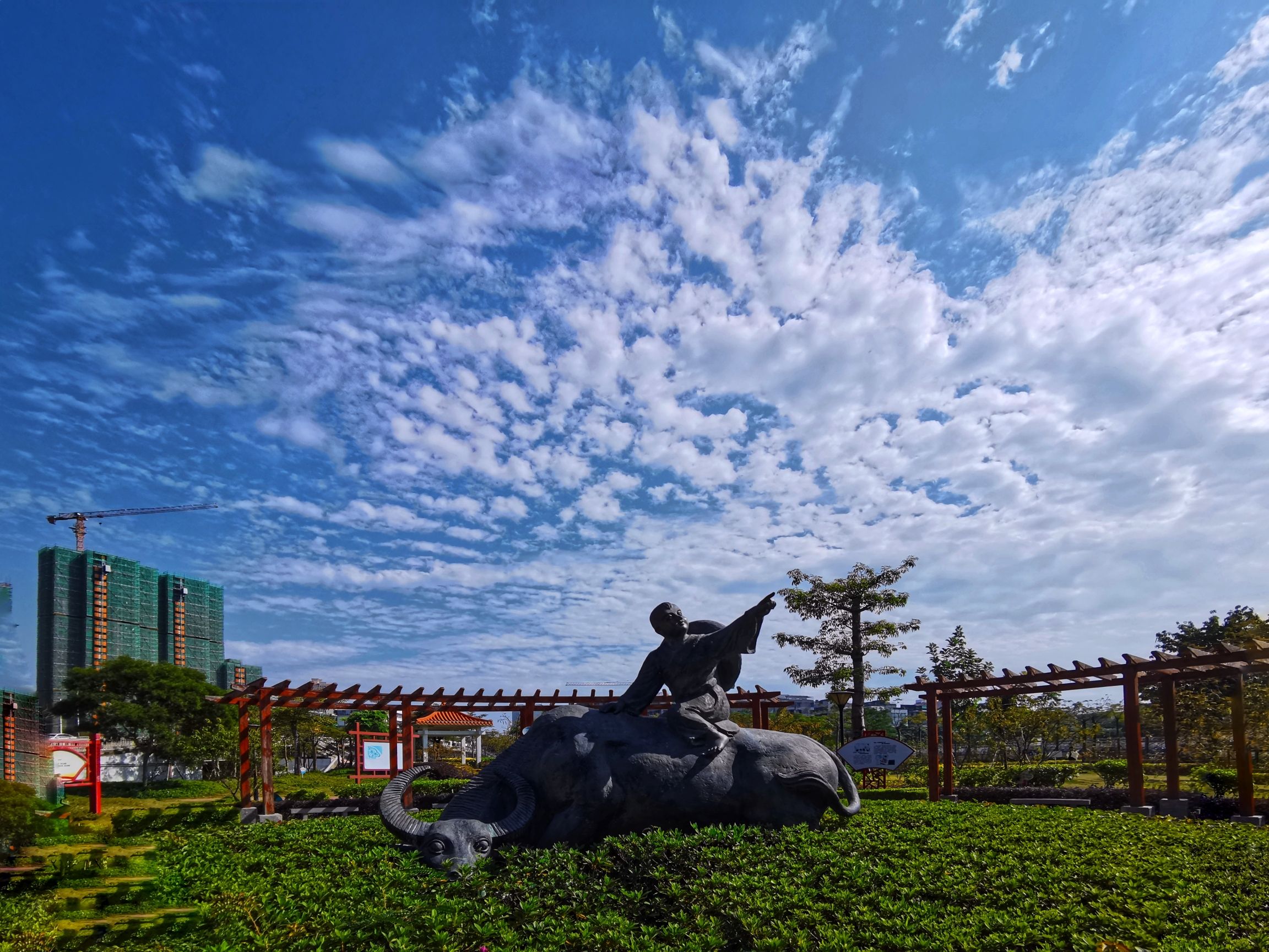 杏花公园旅行图片 1