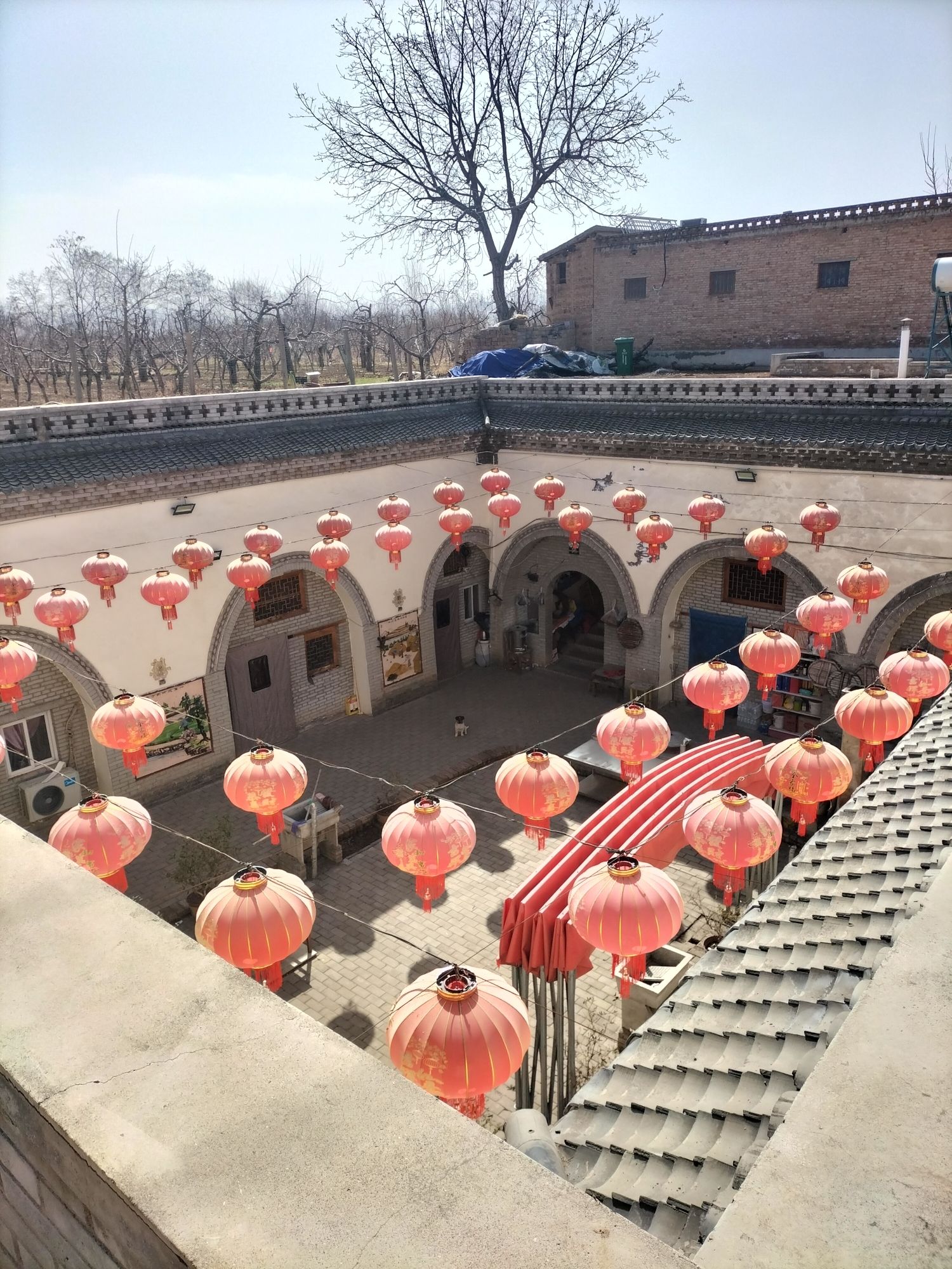 曲村地坑院景区旅行图片 3