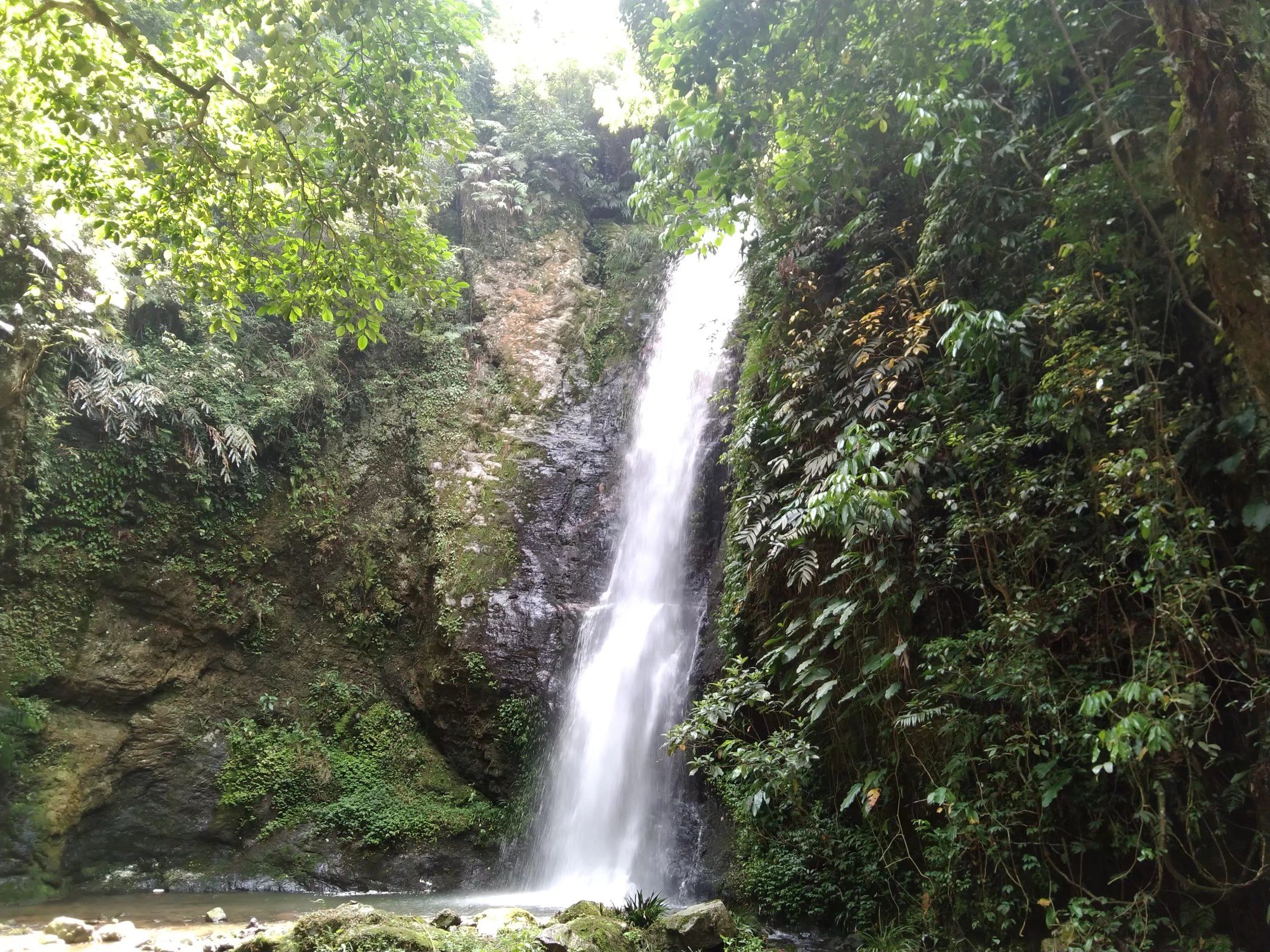 德保县谷金旅游景区