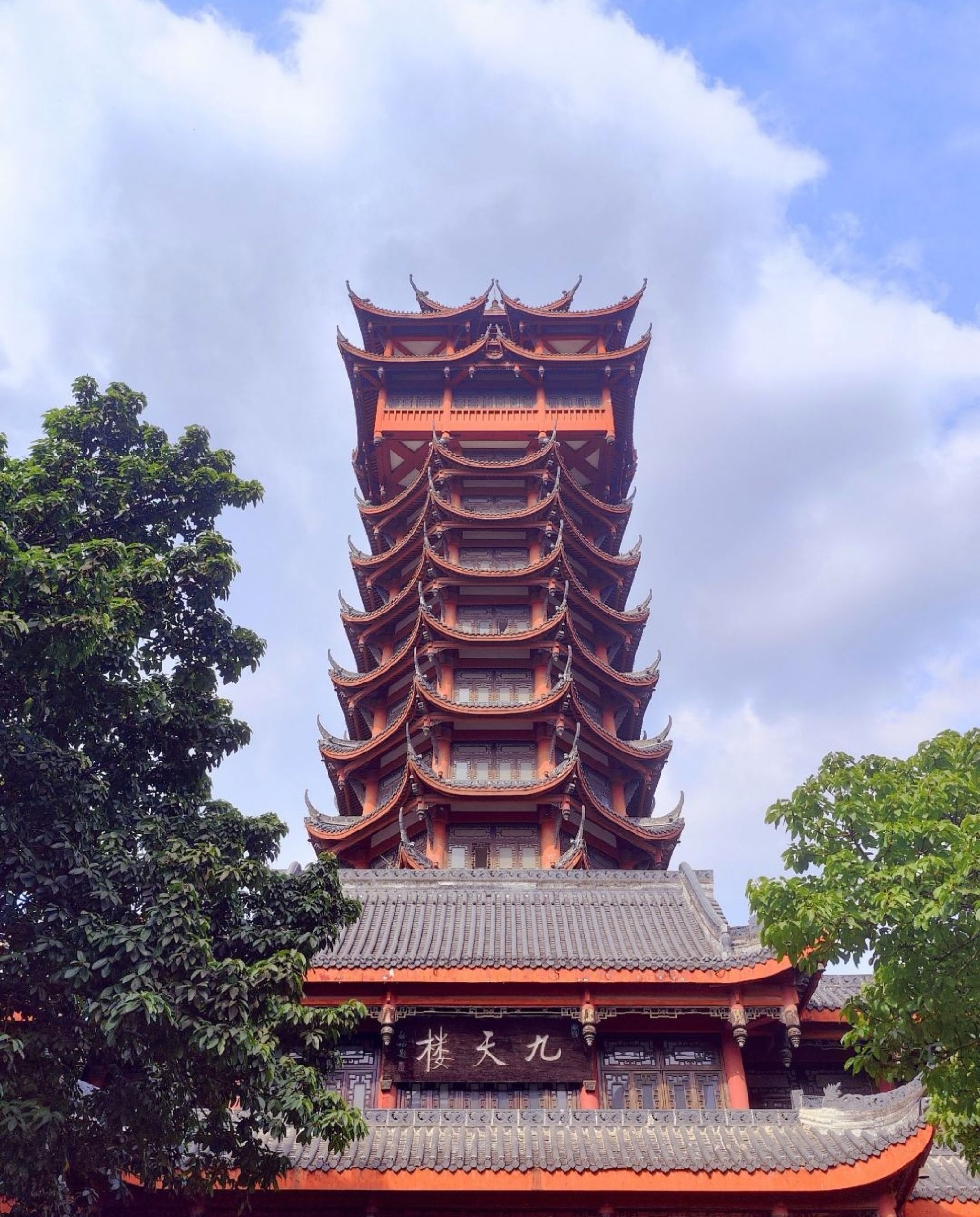 塔子山梅花基地旅行图片 1
