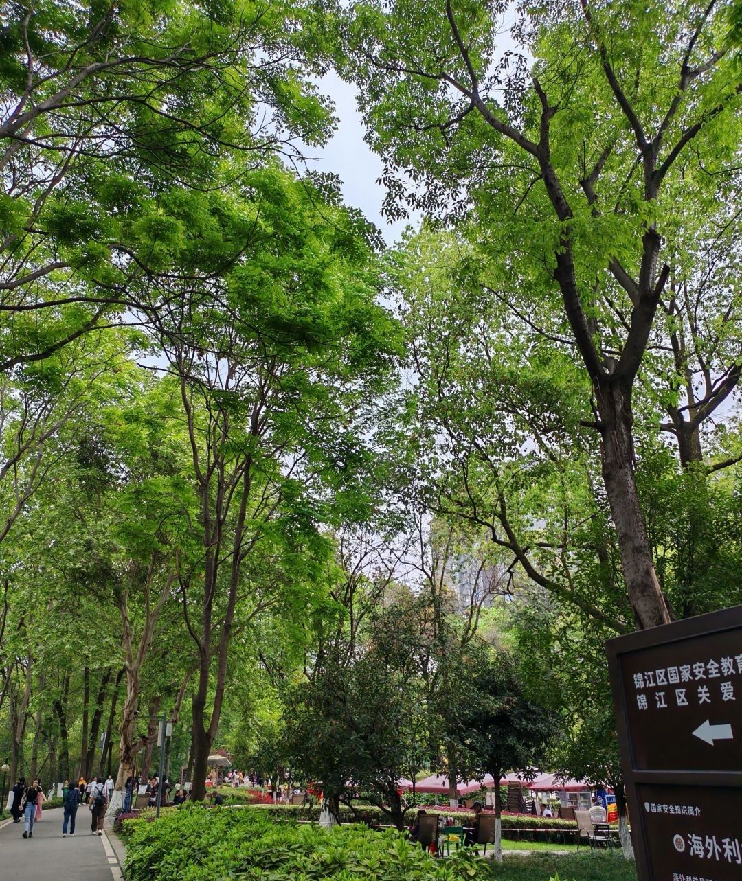 塔子山梅花基地旅行图片 3