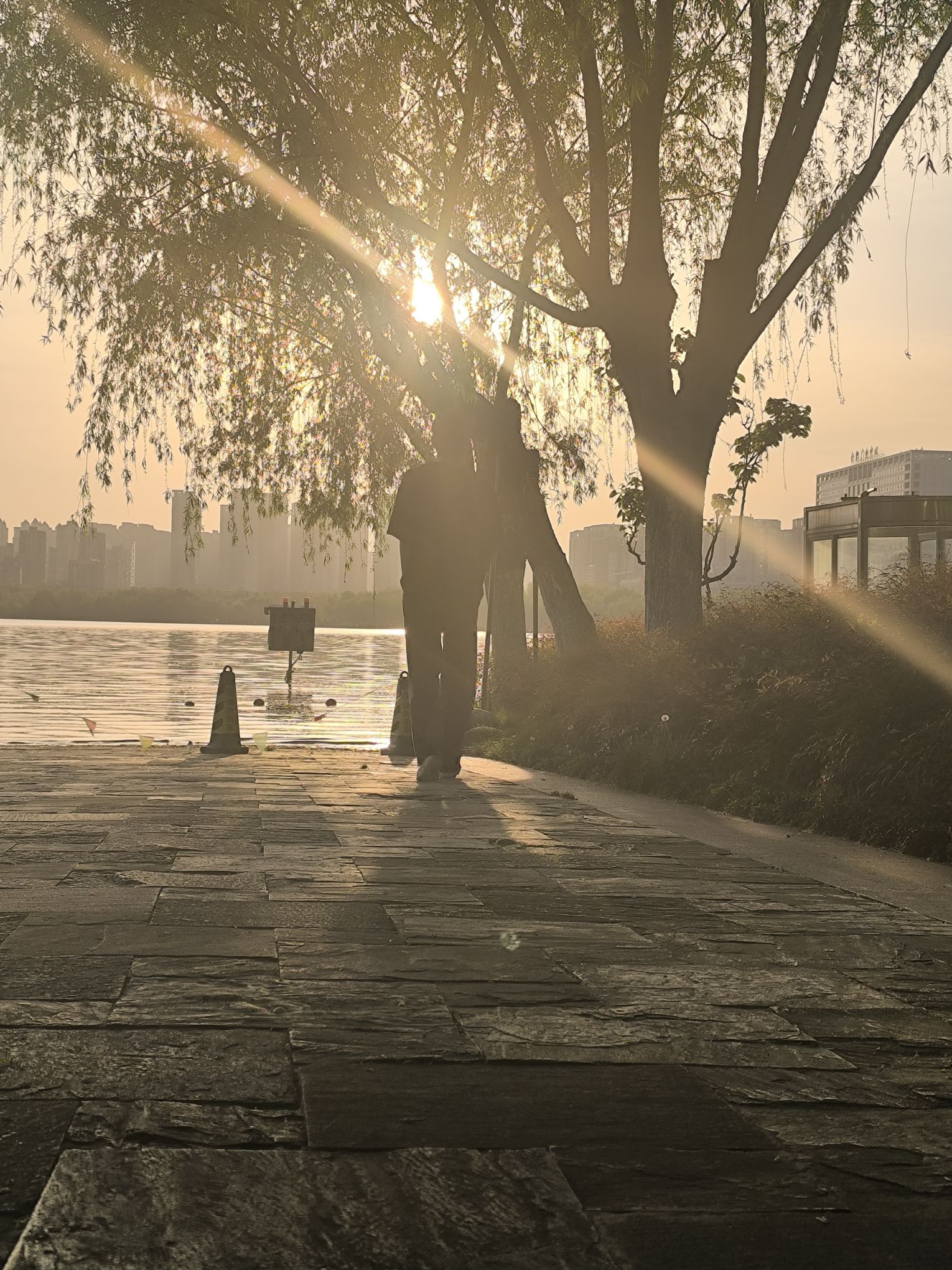 天鹅湖体育公园旅行图片 1