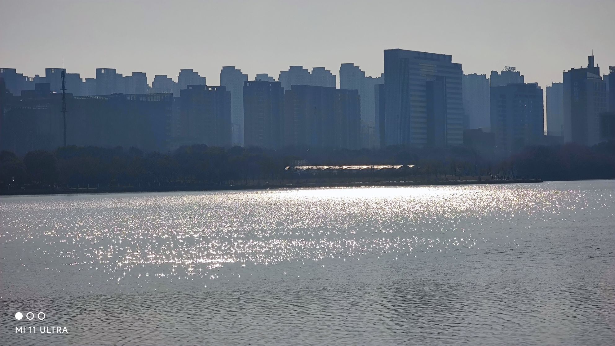 天鹅湖体育公园旅行图片 1