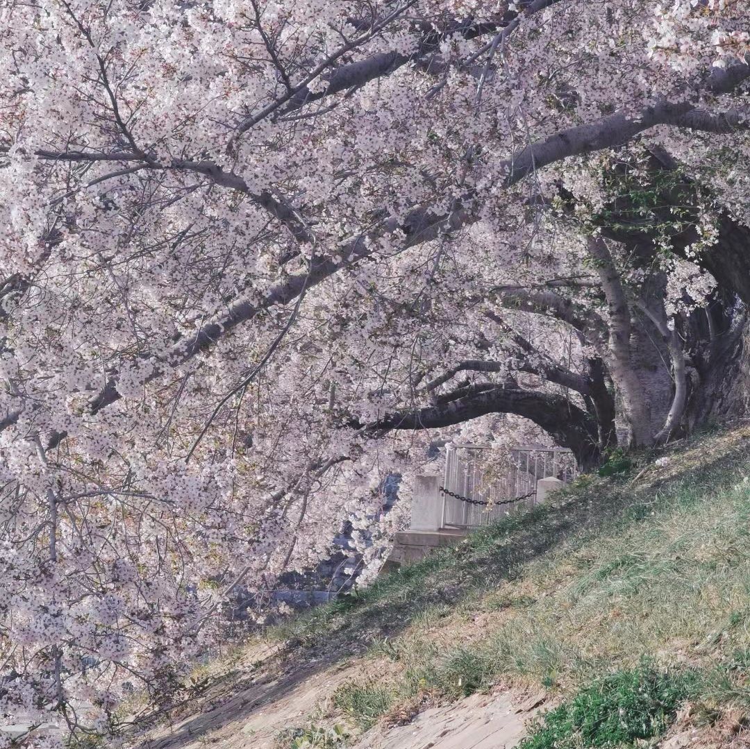 龙王塘旅行图片 3