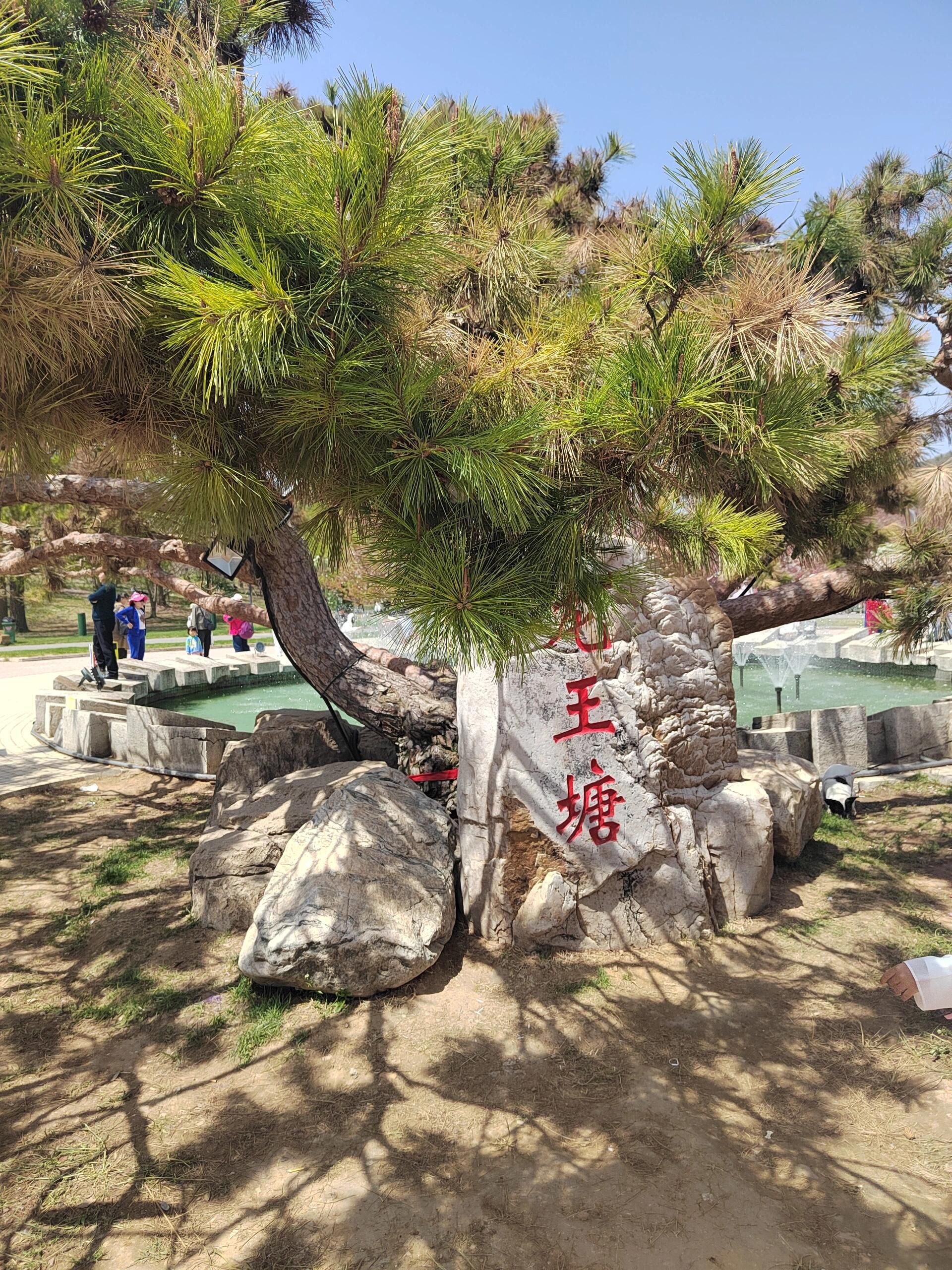 龙王塘旅行图片 1