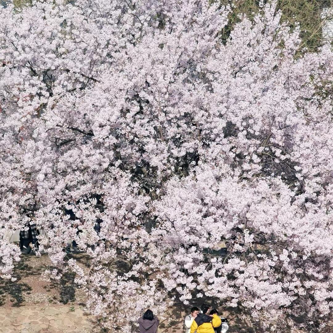 龙王塘旅行图片 2