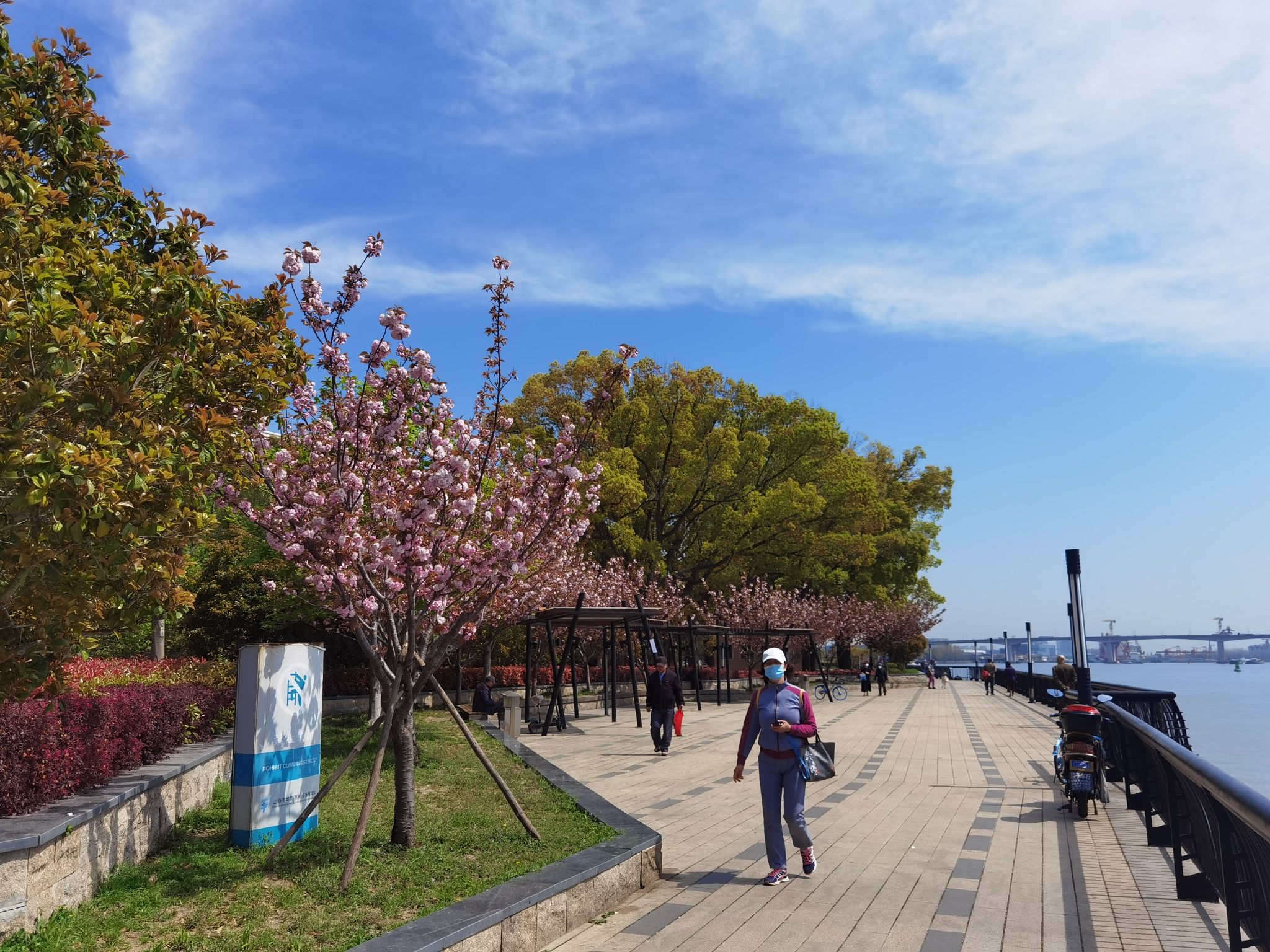 闵行滨江公园旅行图片 3