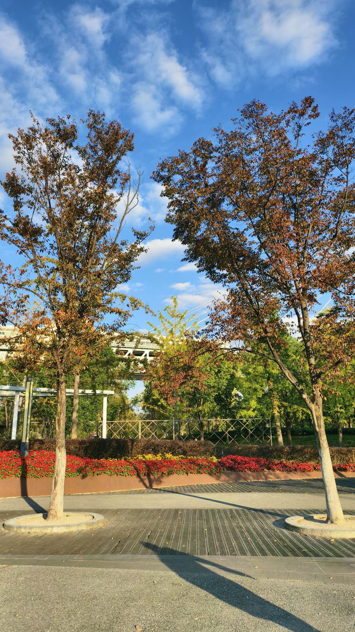 闵行滨江公园旅行图片 3