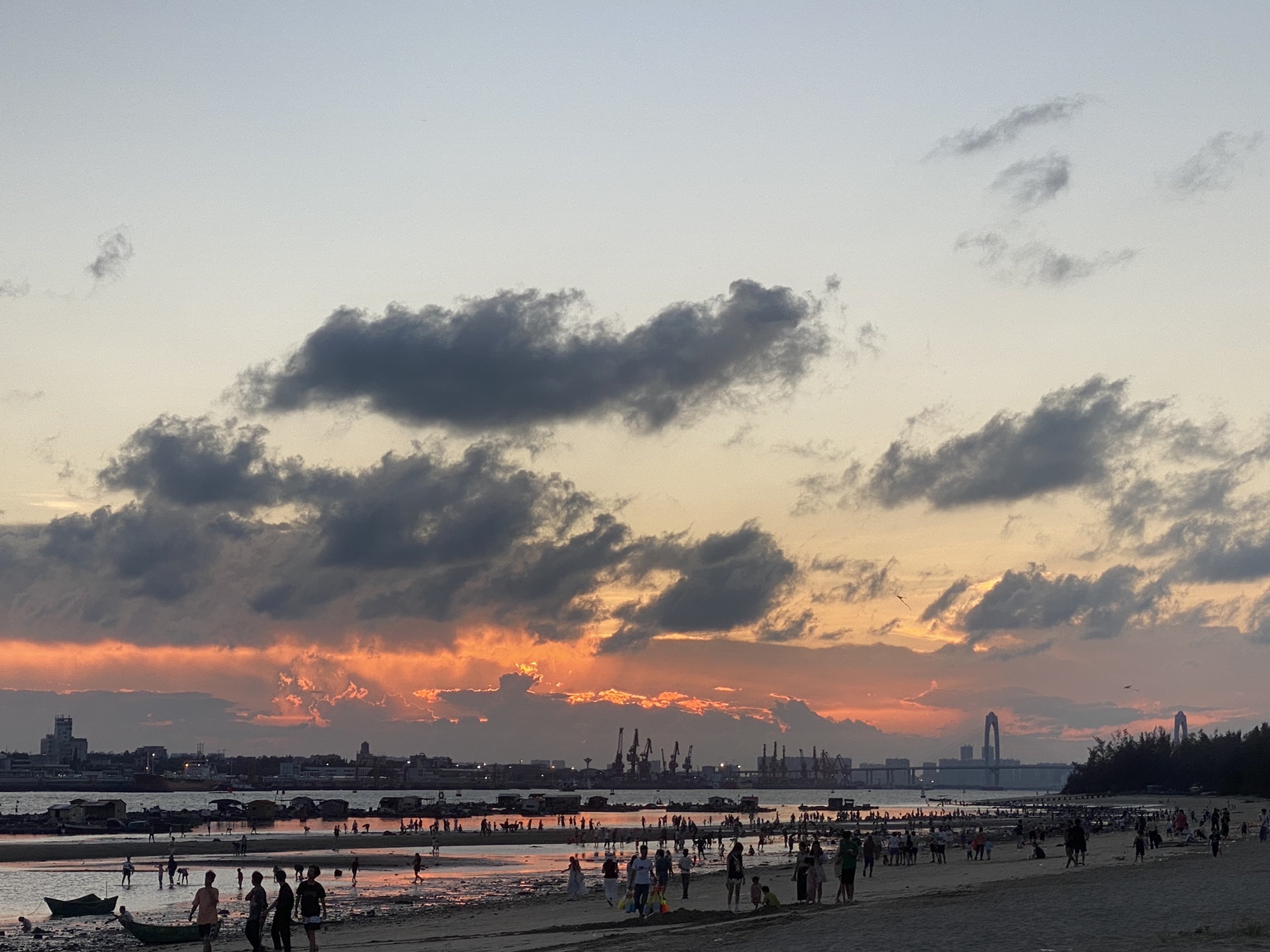 西葛沙滩旅行图片 1