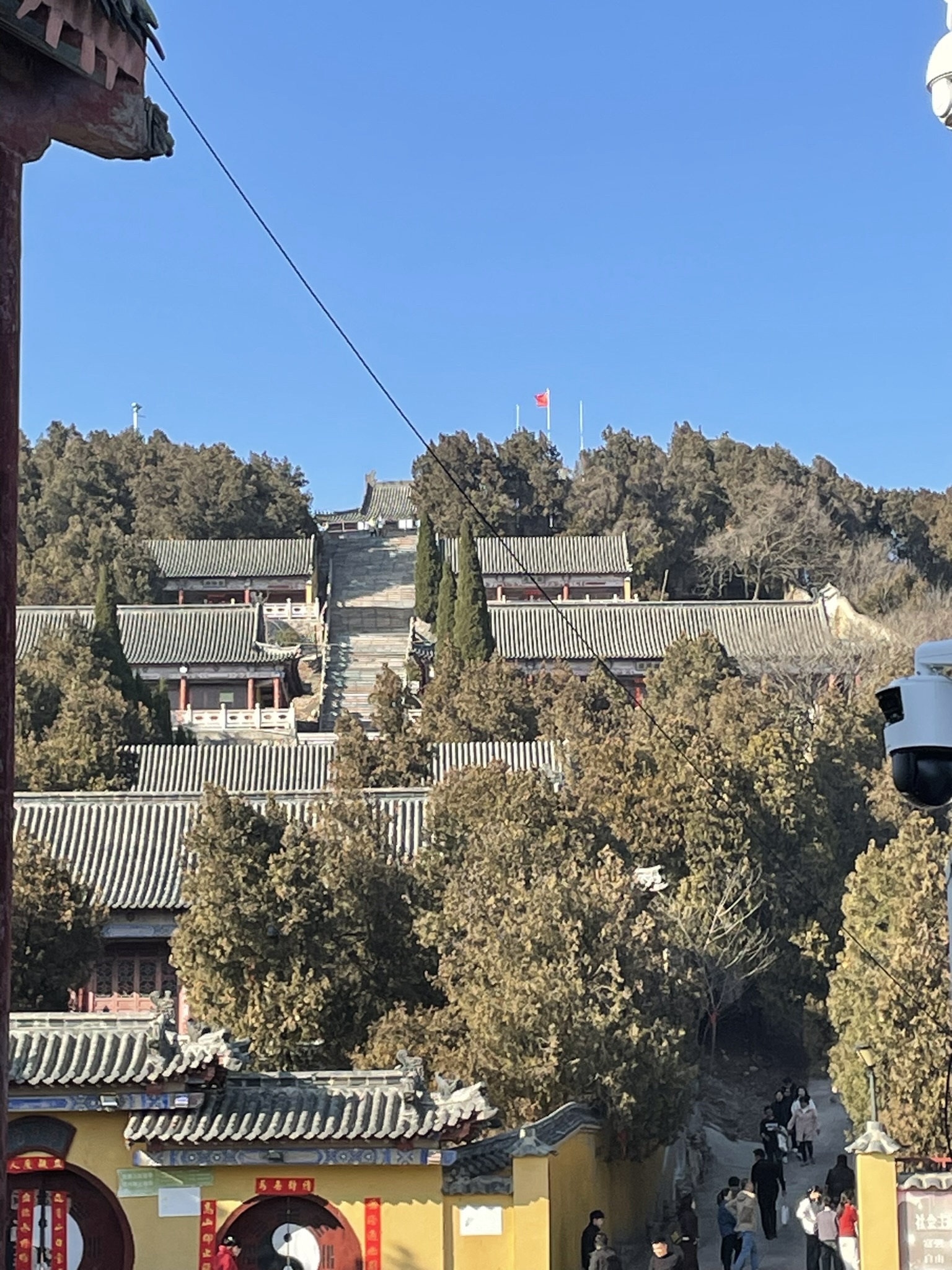 八公山森林公园旅行图片 3