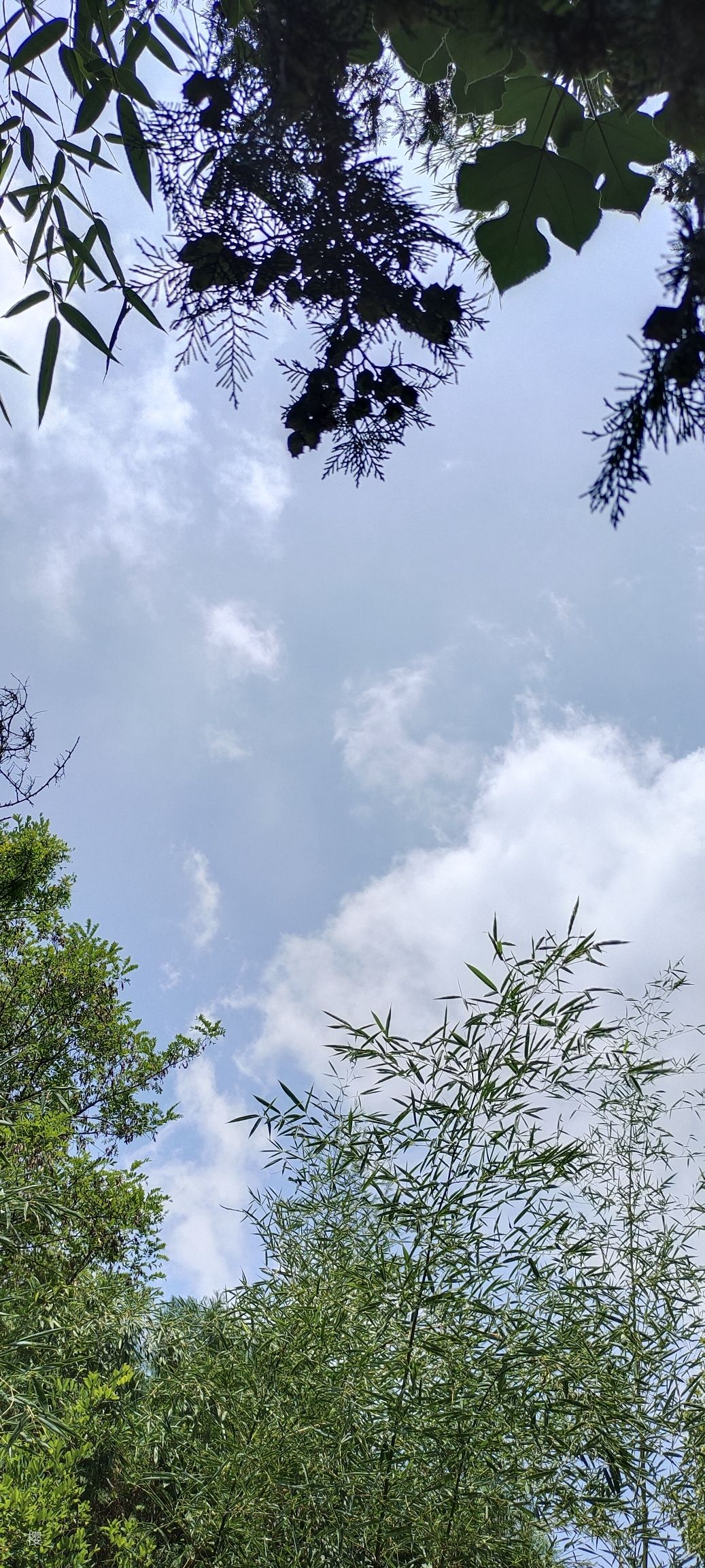 八公山森林公园旅行图片 1