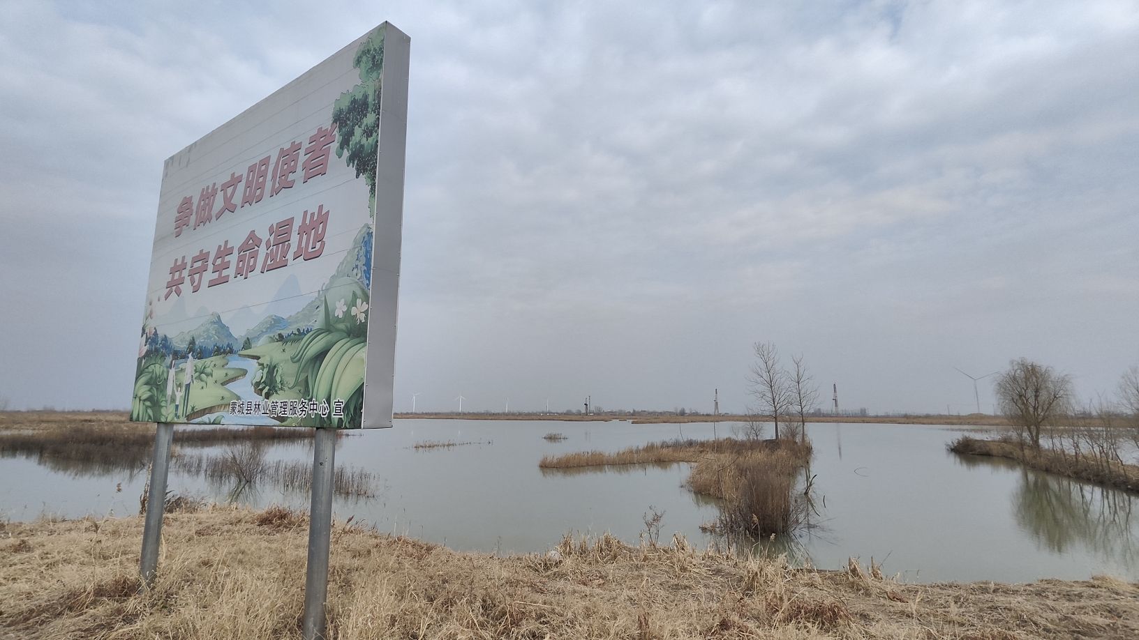 蒙城北淝河国家湿地公园旅行图片 3