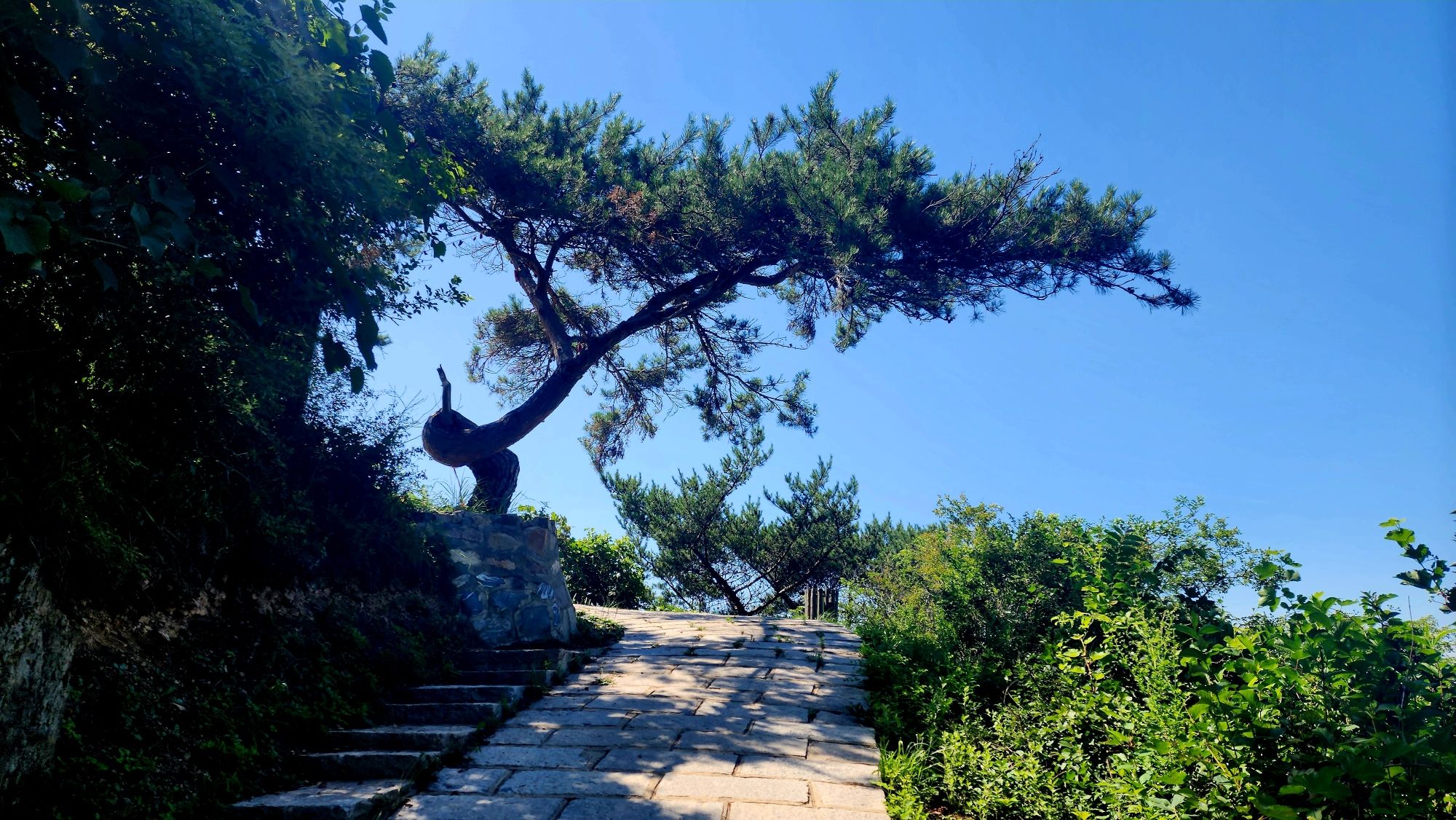 蒙城北淝河国家湿地公园旅行图片 3