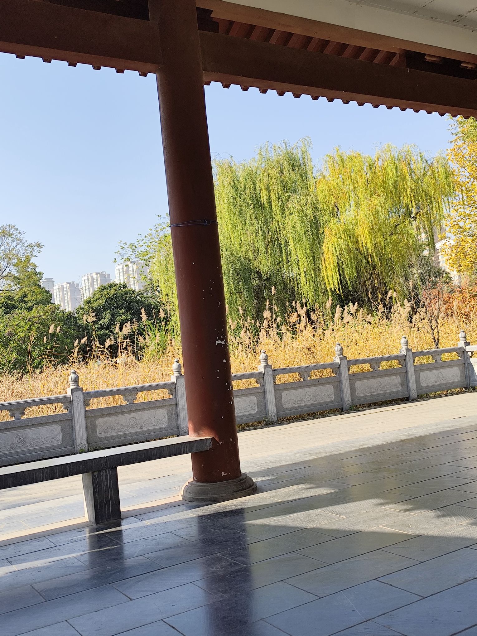 洛神公园旅行图片 3