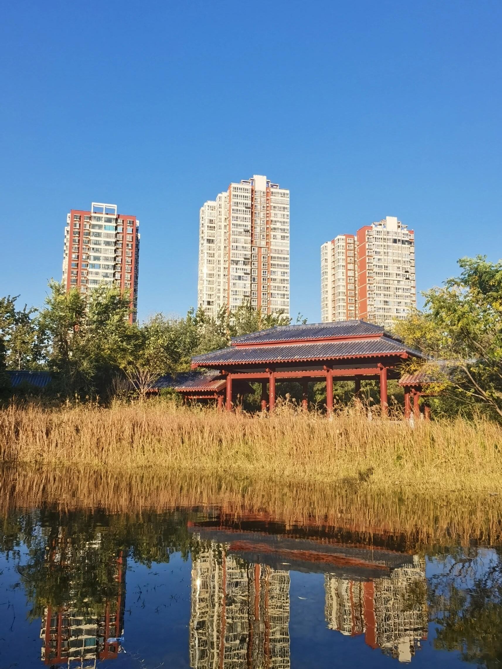 洛神公园旅行图片 3