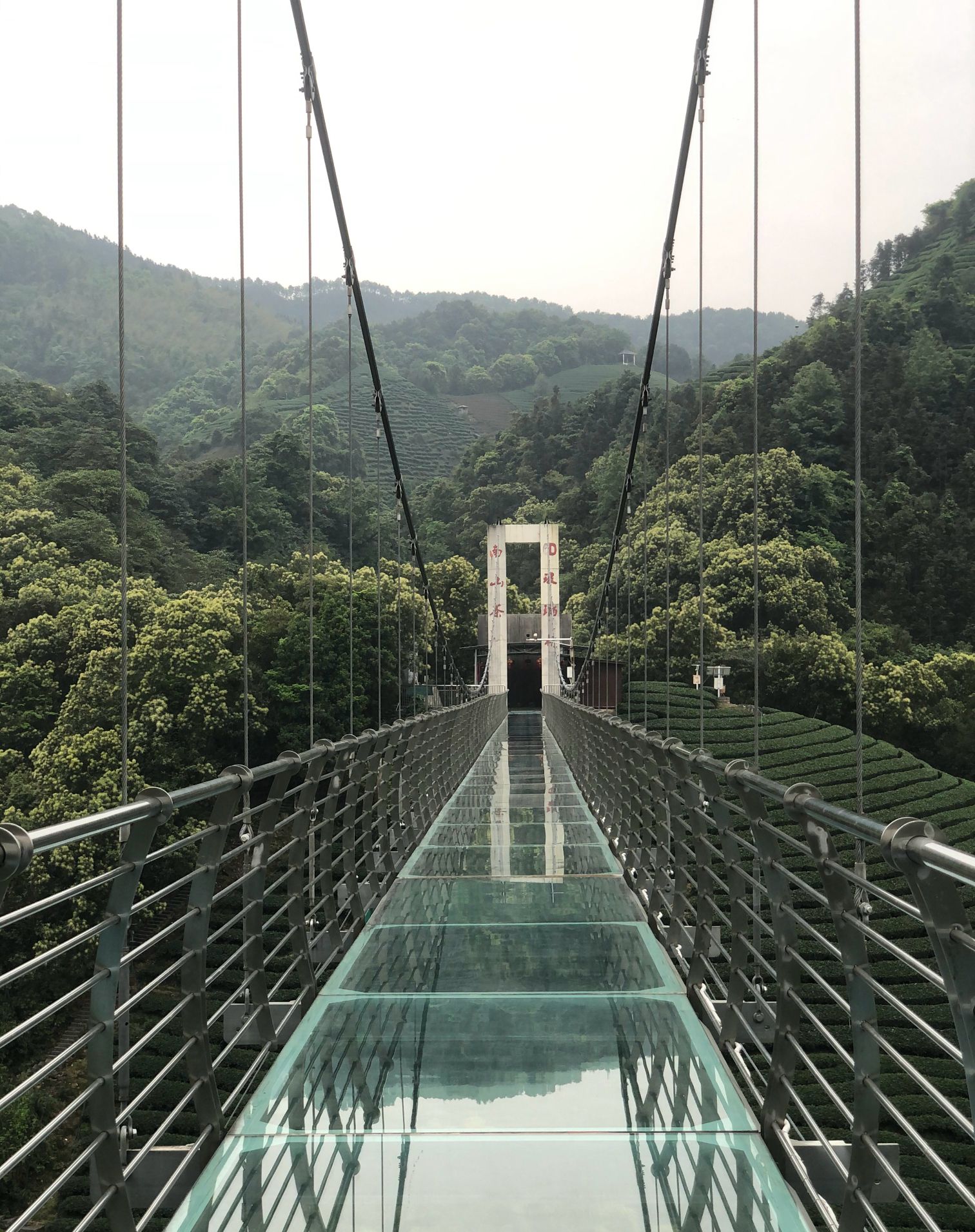 南山茶海旅游风景区旅行图片 3