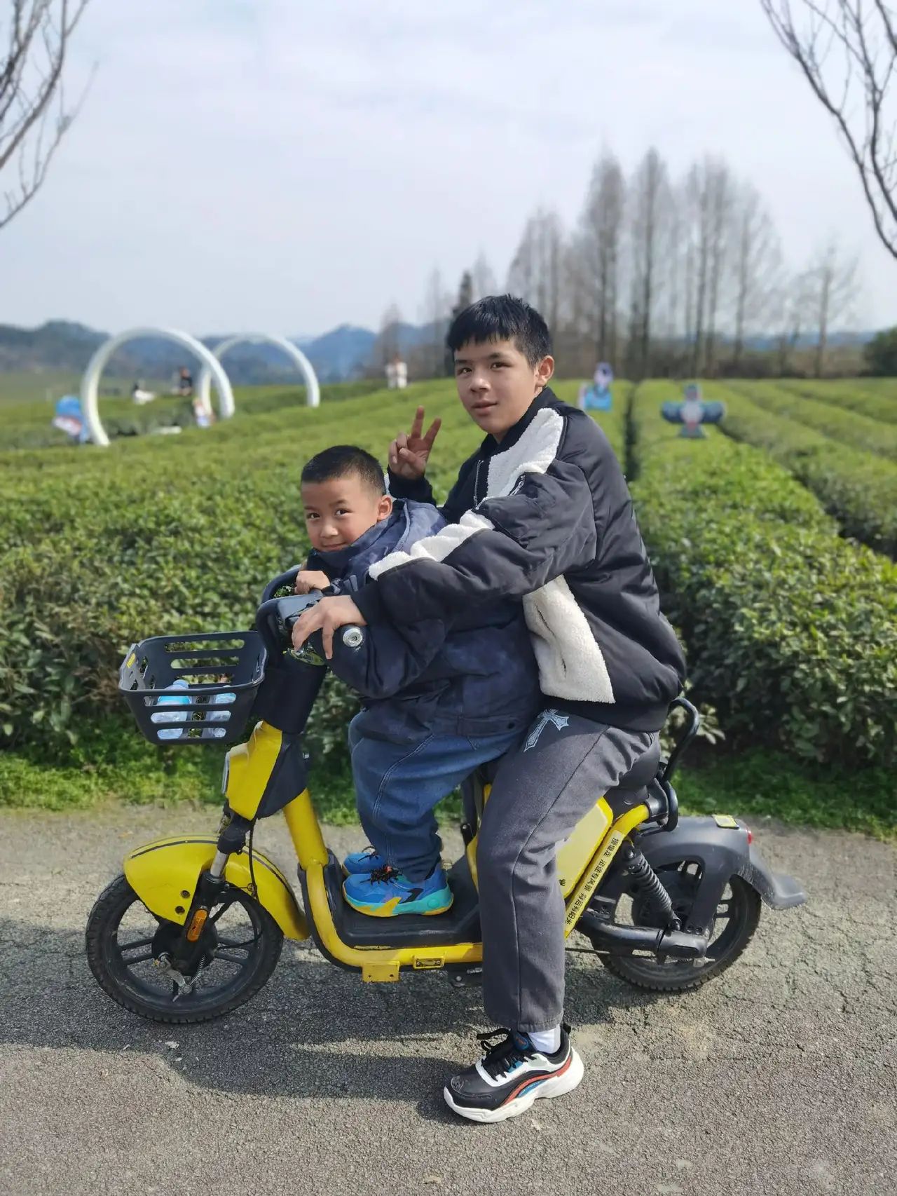 南山茶海旅游风景区旅行图片 3