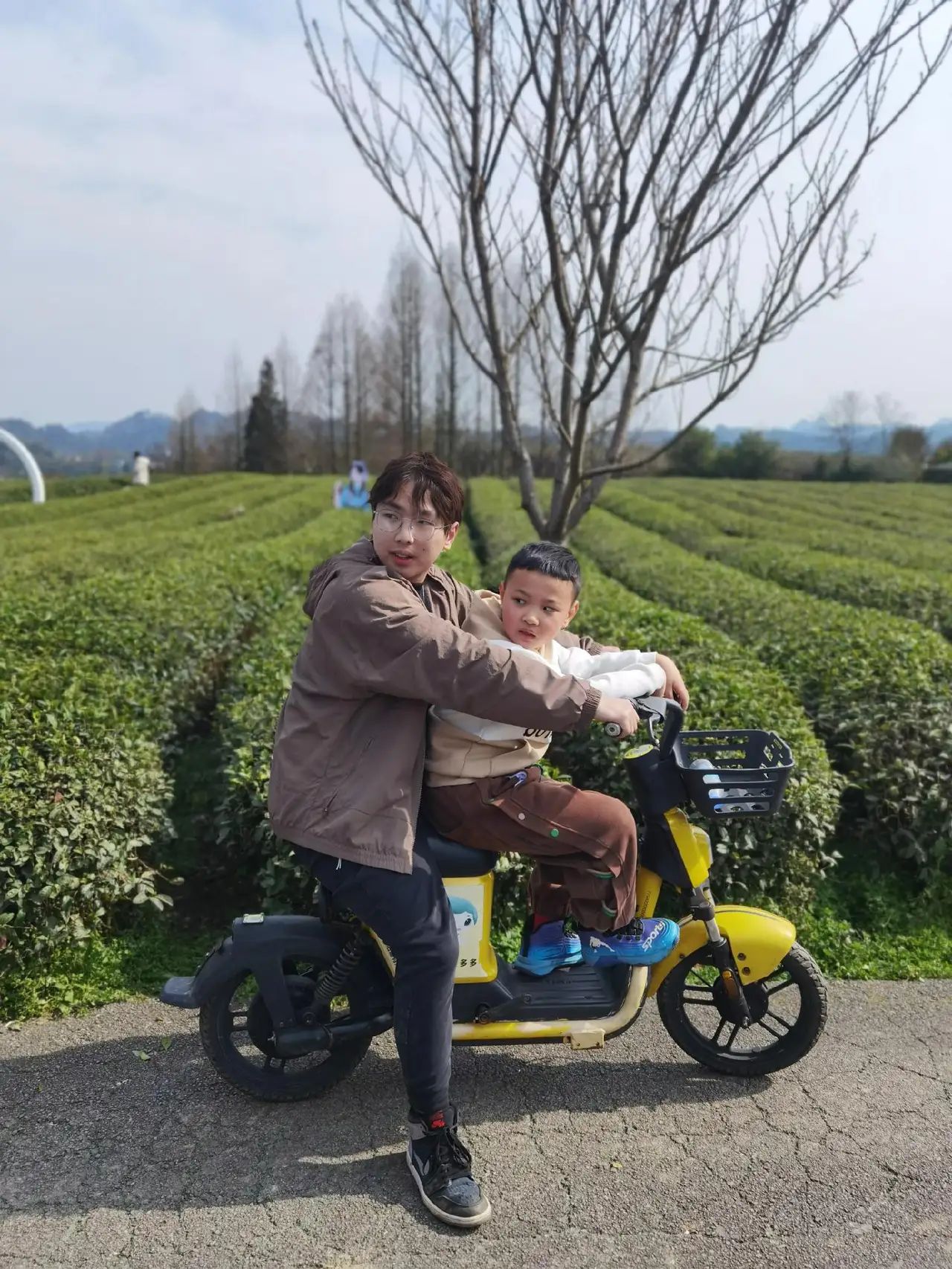 南山茶海旅游风景区旅行图片 2