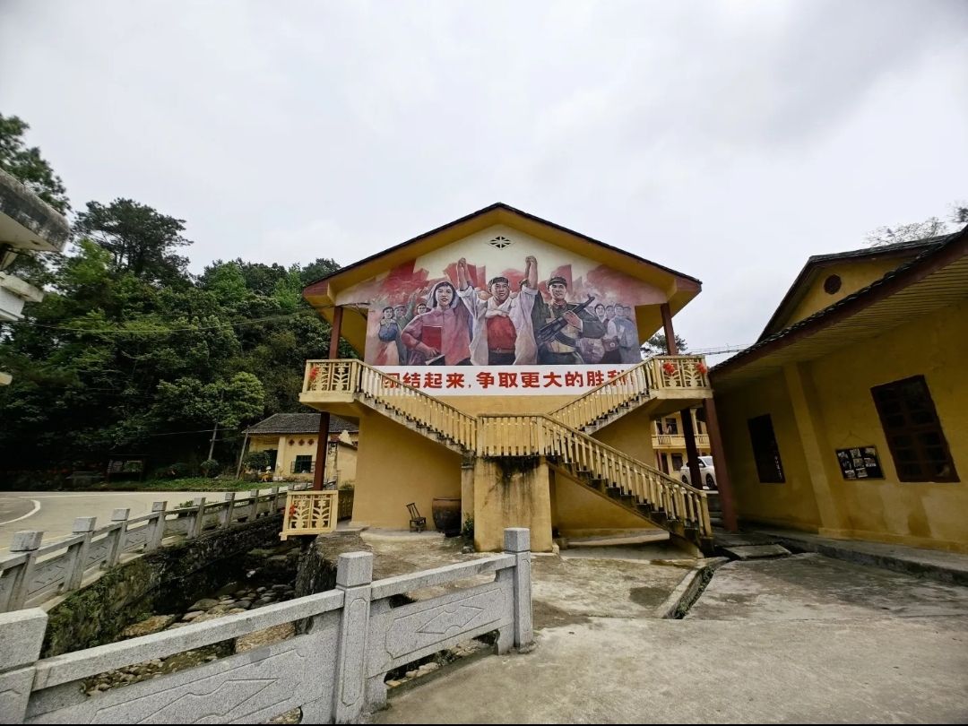 南山茶海旅游风景区旅行图片 2