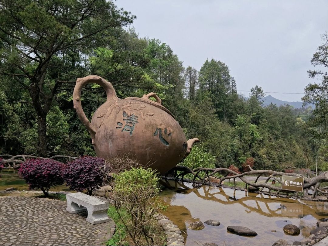南山茶海旅游风景区旅行图片 1
