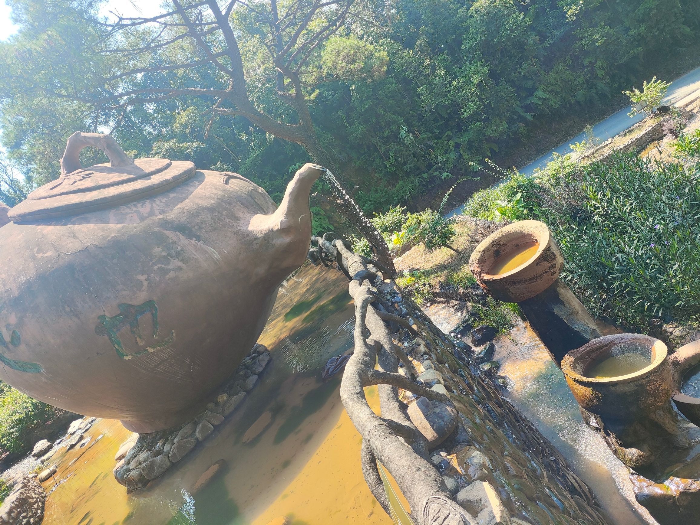南山茶海旅游风景区旅行图片 1
