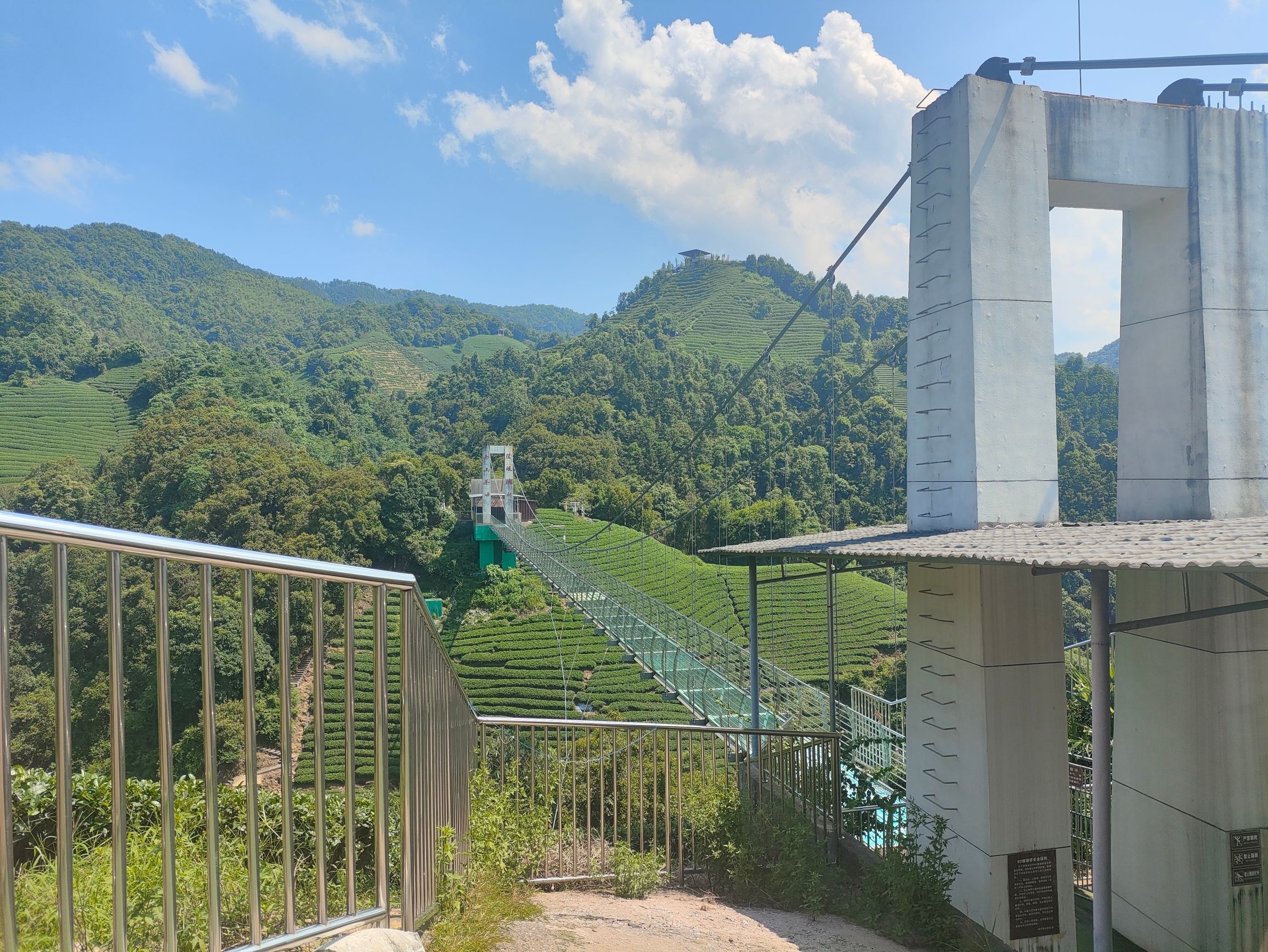 南山茶海旅游风景区旅行图片 3