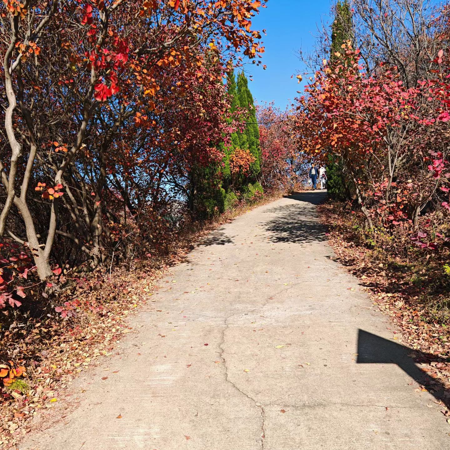 红山翠谷景区旅行图片 1