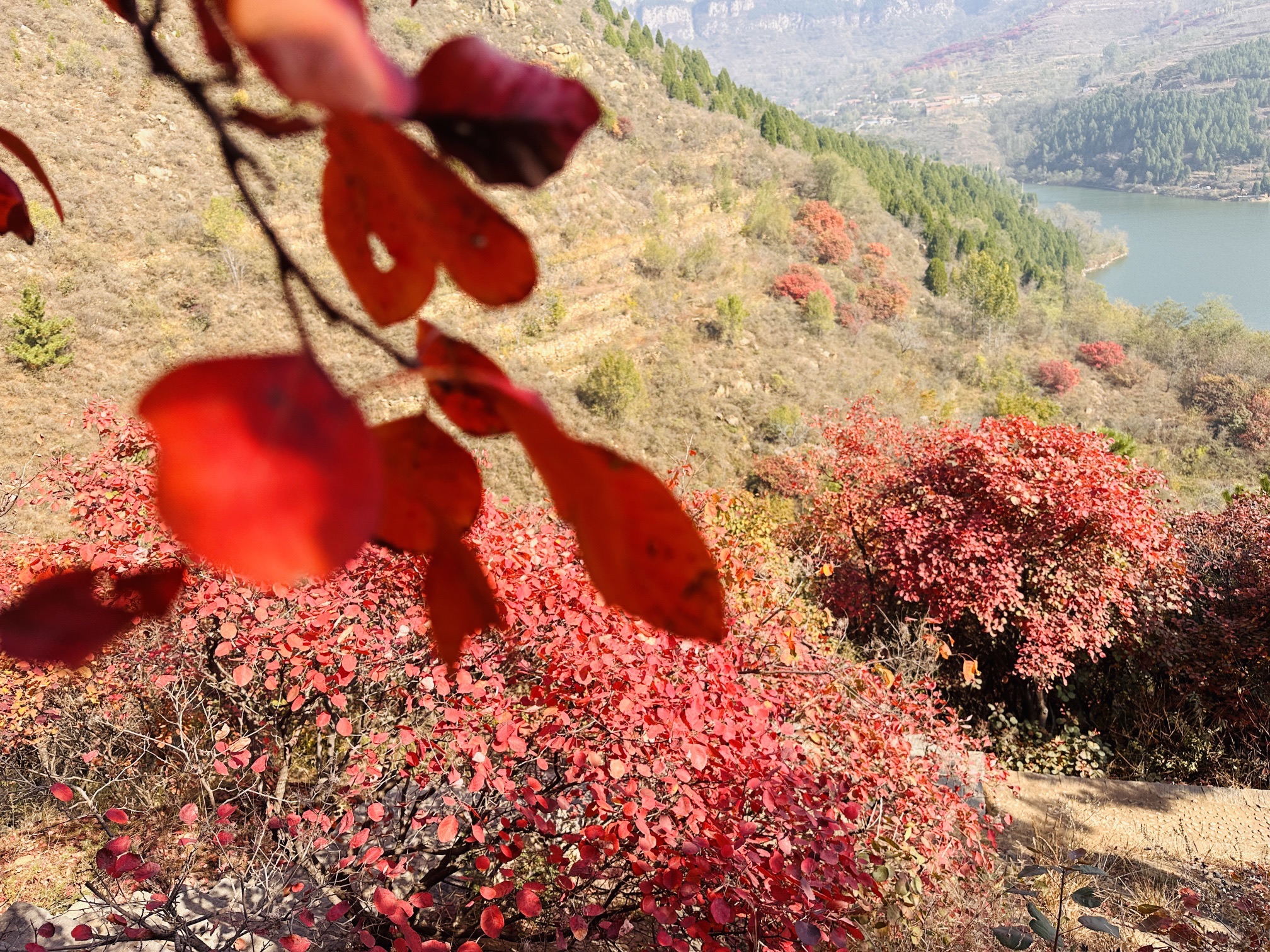 红山翠谷景区旅行图片 3