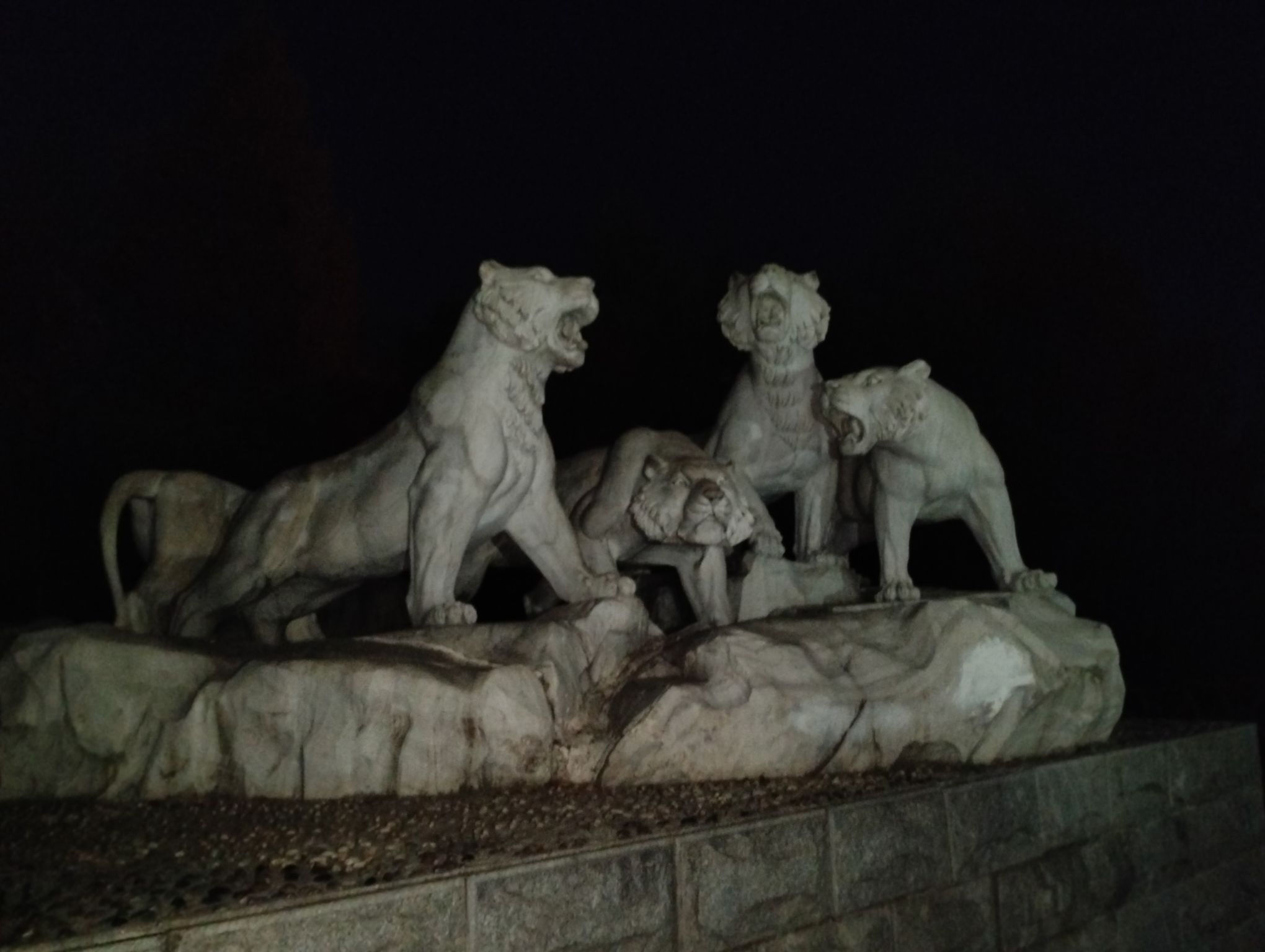 五虎山森林公园旅行图片 2