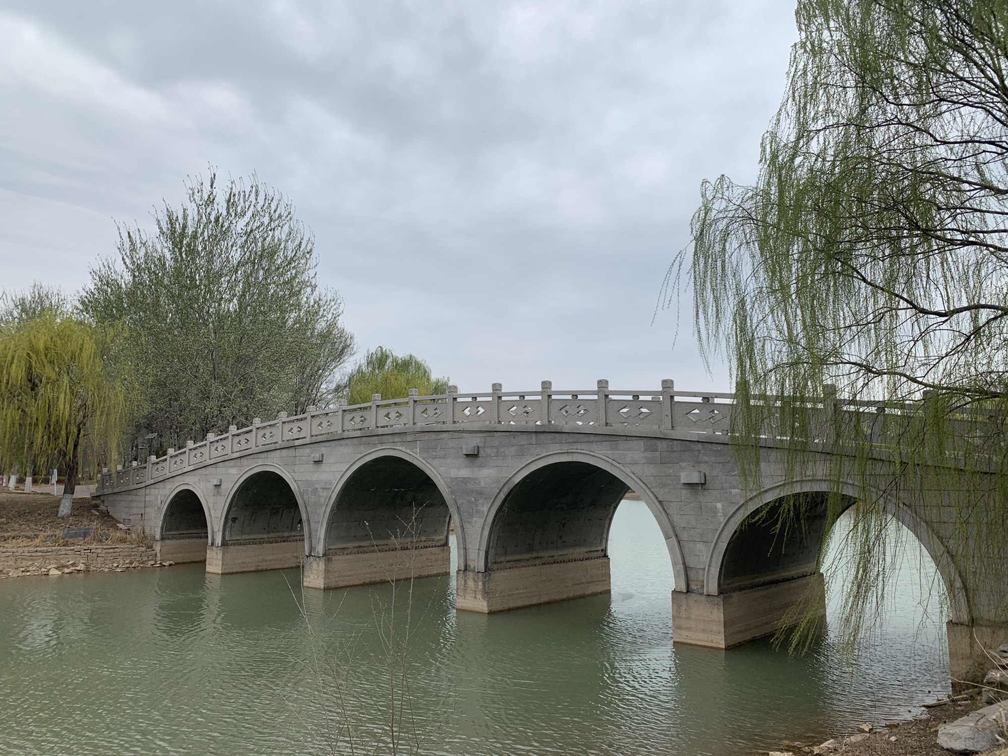 山东黄河玫瑰湖国家湿地公园