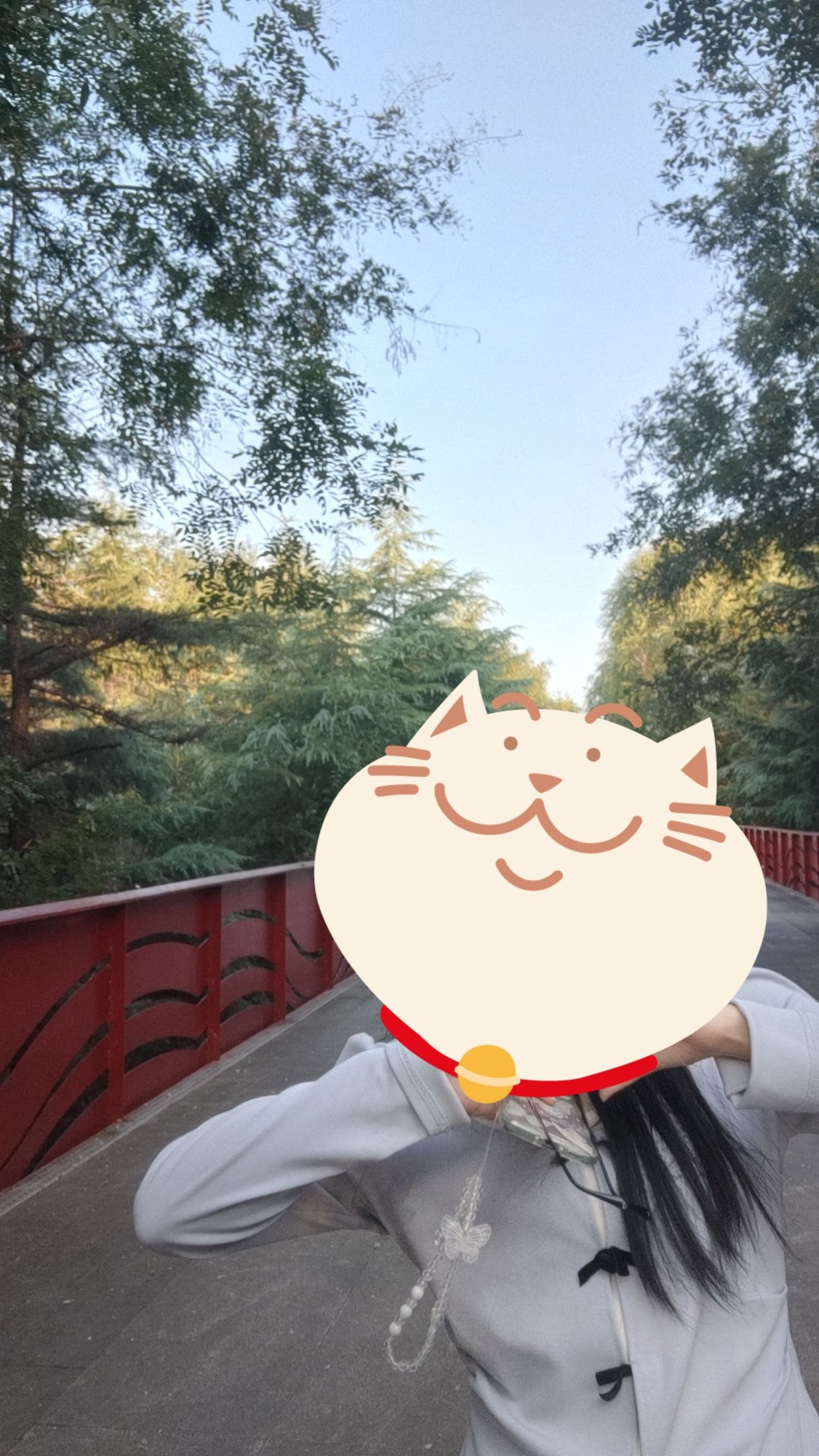 山东黄河玫瑰湖国家湿地公园旅行图片 1
