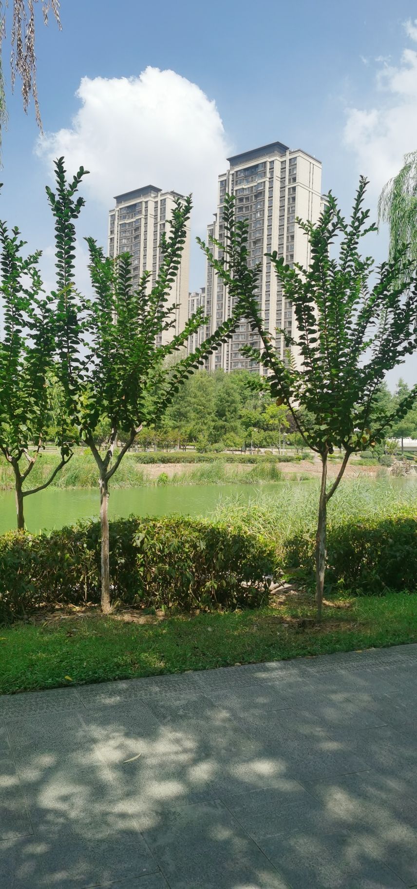 奎河公园旅行图片 2
