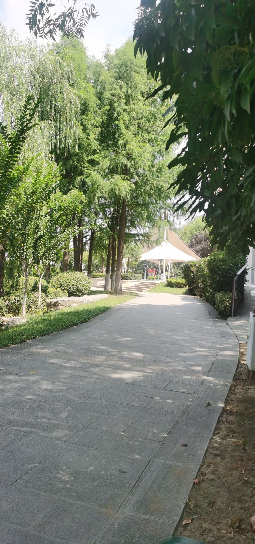 奎河公园旅行图片 3