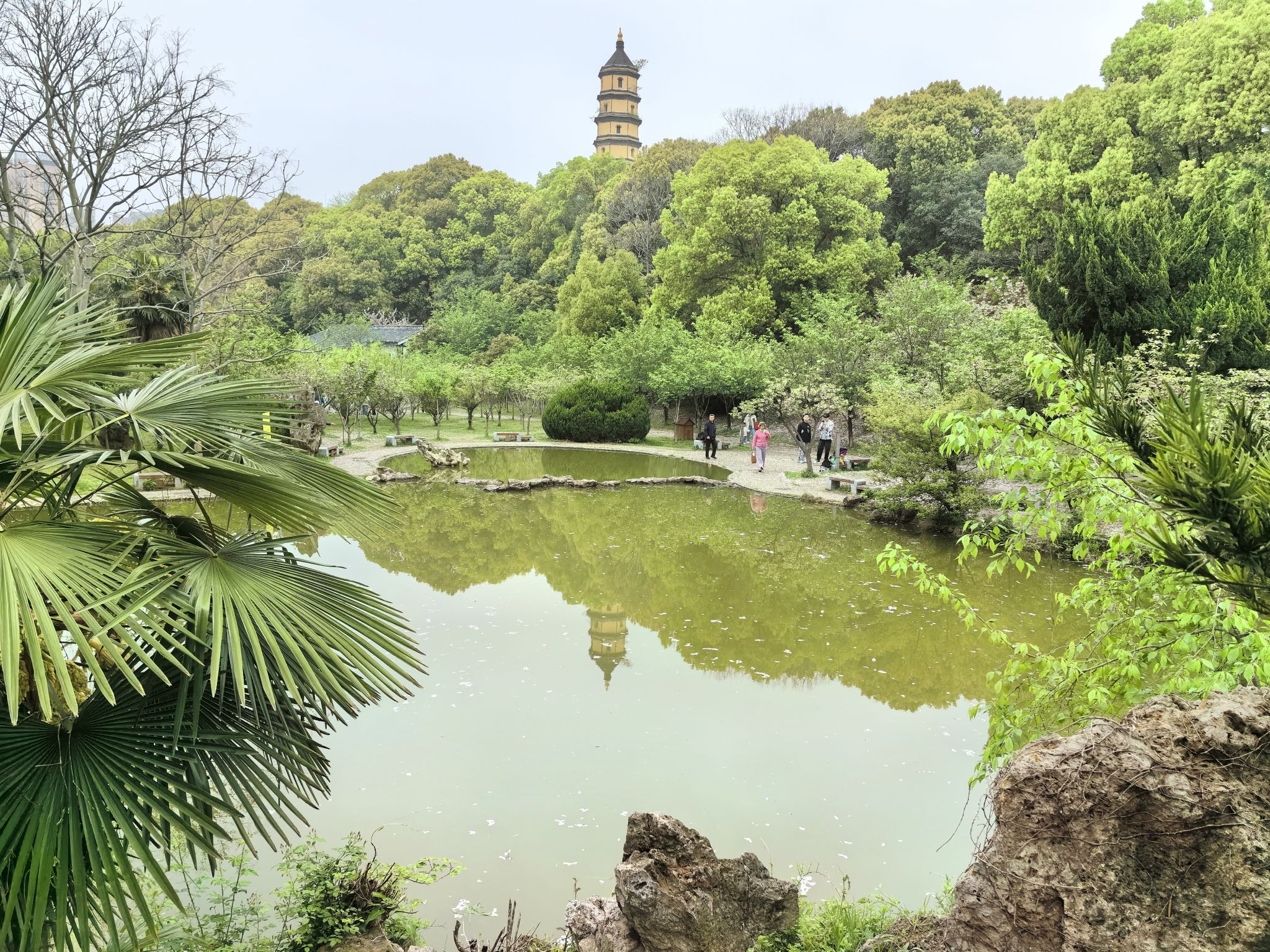 宝塔山公园-僧伽塔