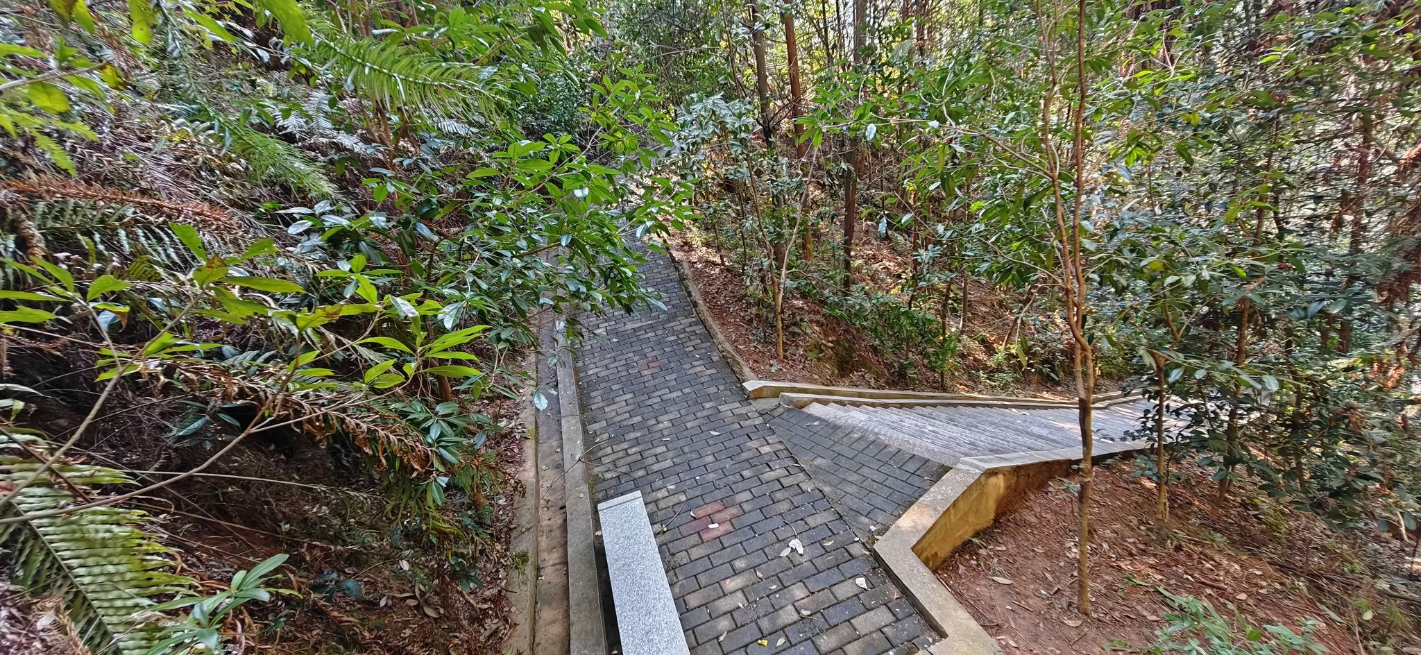 飞凤山公园旅行图片 3