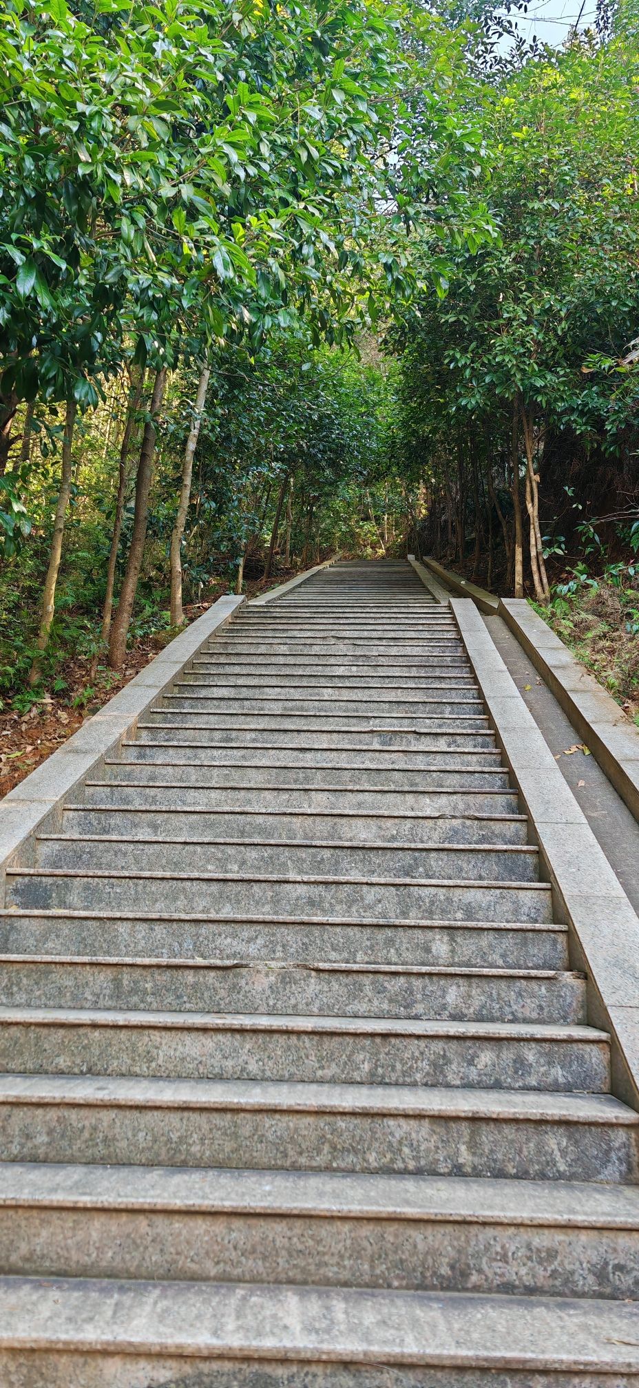 飞凤山公园旅行图片 2