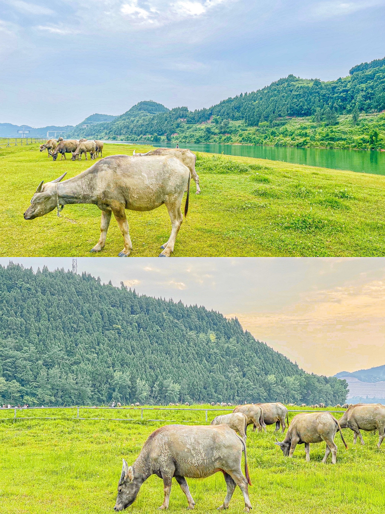 百牛渡江旅行图片 2
