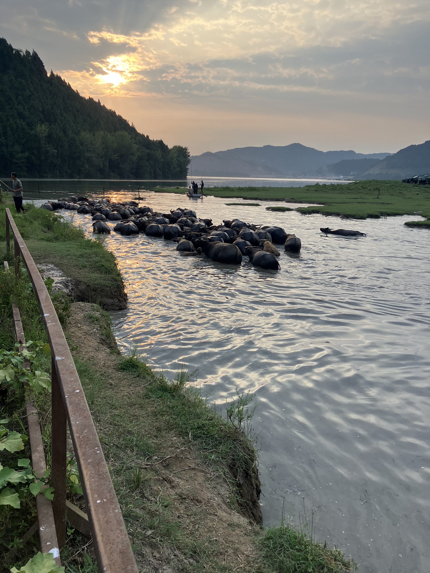 百牛渡江旅行图片 3