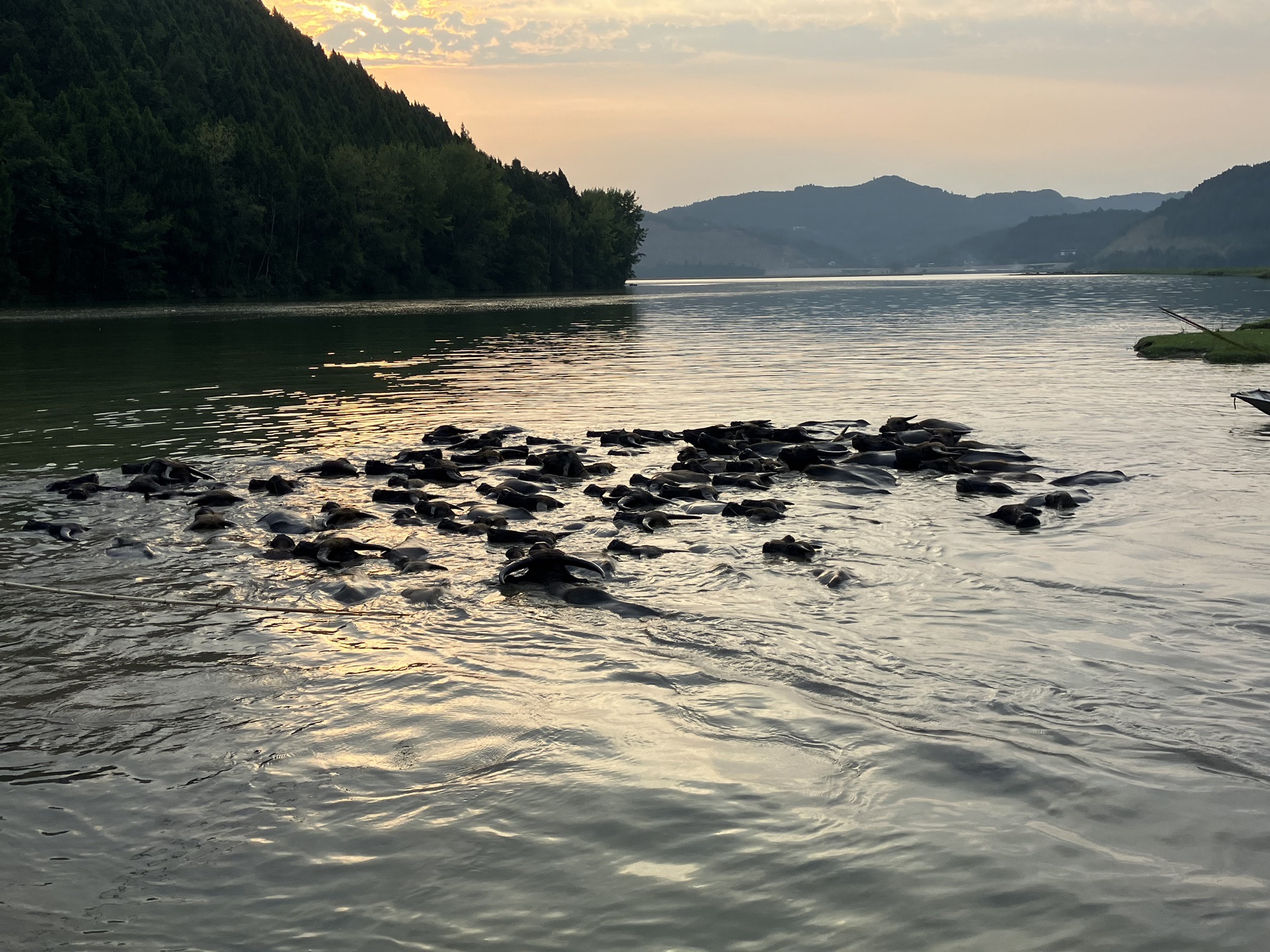 百牛渡江旅行图片 1